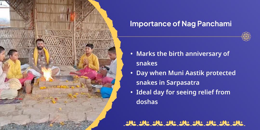 Nag Panchami Rahu-Ketu & Sarpa Dosha Shanti Hawan Aahuti Seva