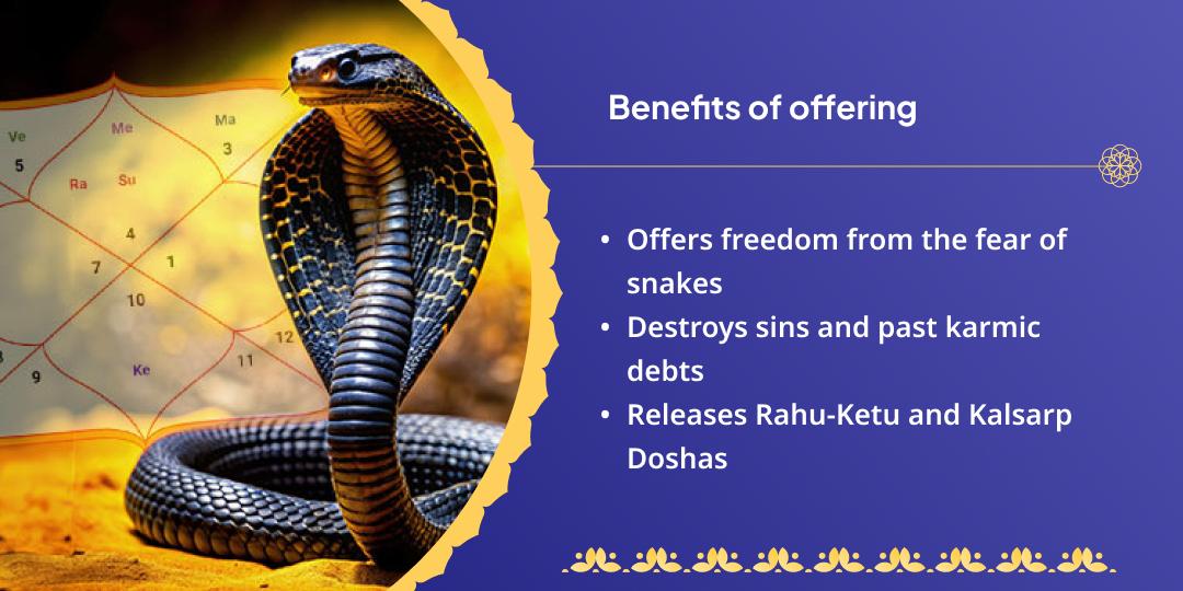 Nag Panchami Rahu-Ketu & Sarpa Dosha Shanti Hawan Aahuti Seva