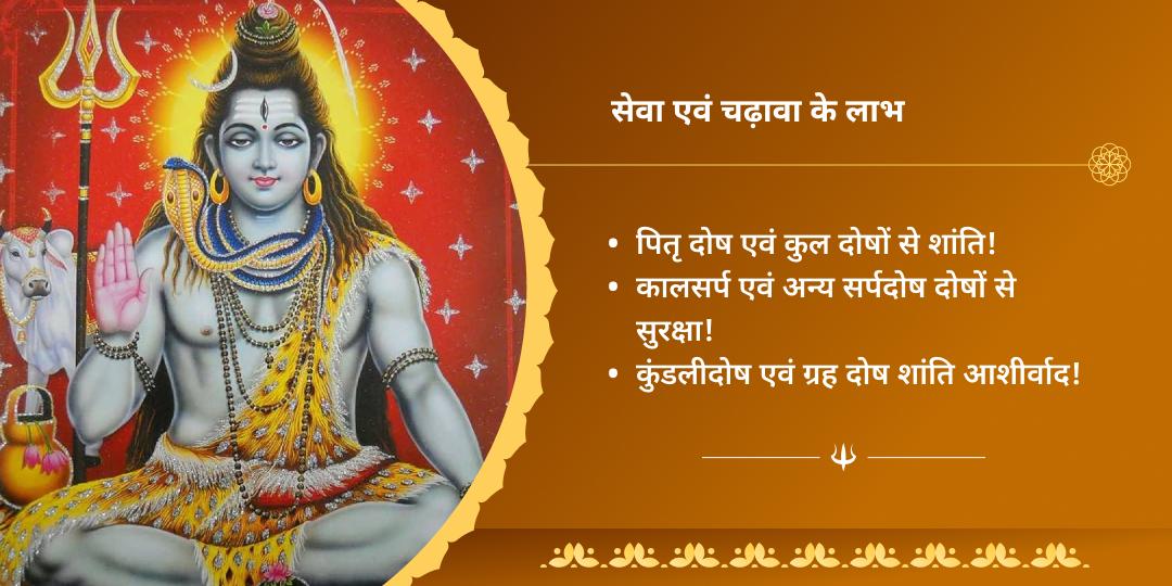 सावन महा अमावस्या पितृ शांति नाशिक एवं त्र्यंबकेश्वर पंडा सेवा