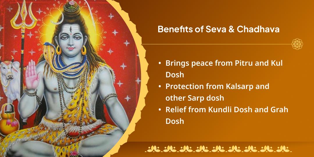 Sawan Maha Amavasya Pitru Shanti Nashik and Trimbakeshwar Panda Seva