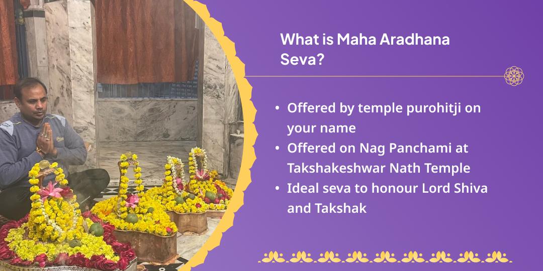 Nag Panchami Family Peace Takshaknath Maha Aradhana