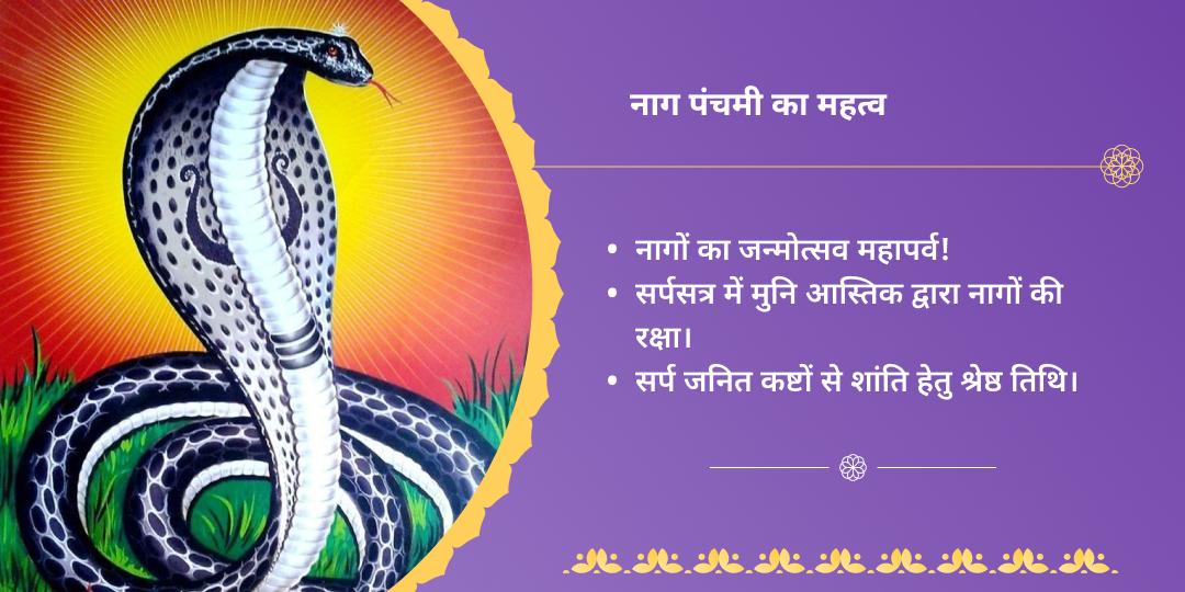 नाग पंचमी कुल शांति तक्षकनाथ महाआराधना
