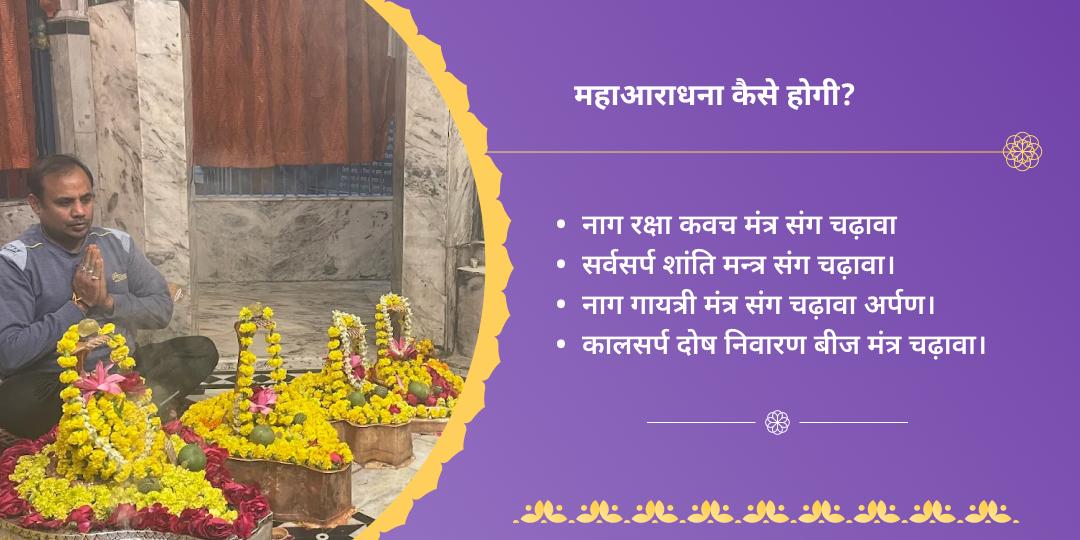 नाग पंचमी कुल शांति तक्षकनाथ महाआराधना