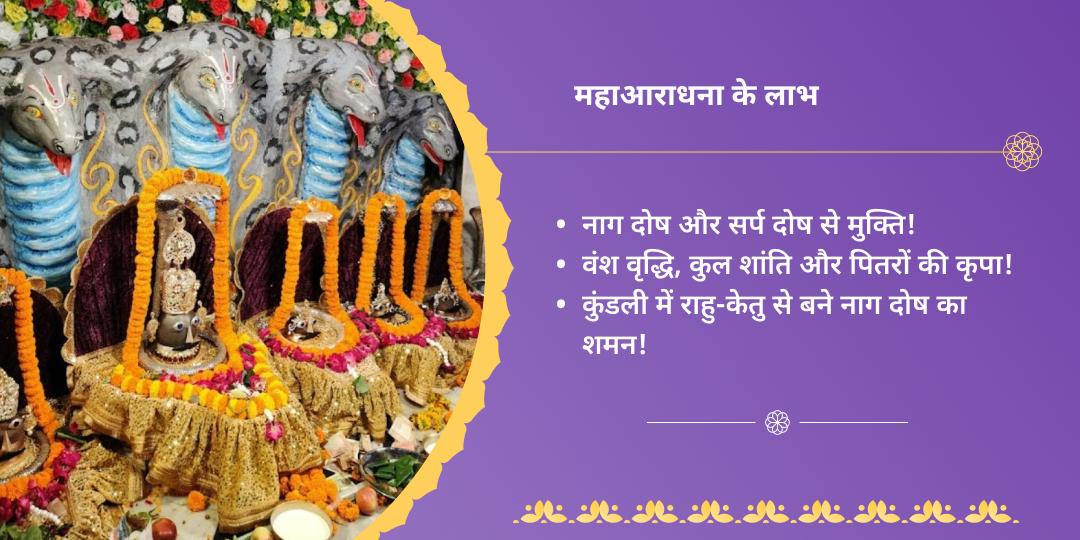 नाग पंचमी कुल शांति तक्षकनाथ महाआराधना
