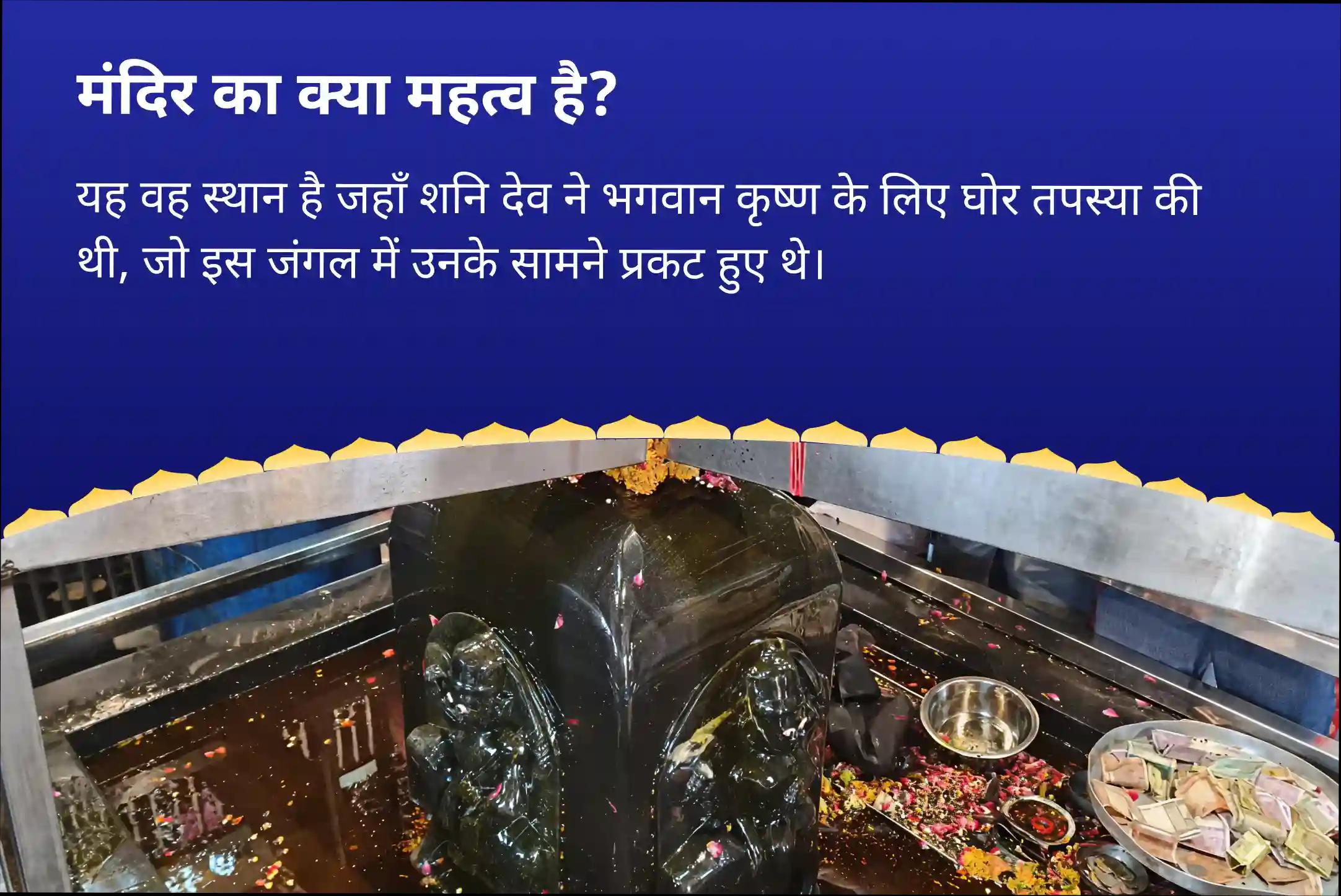 जीवन में चुनौतियों और बाधाओं पर नियंत्रण का आशीष पाने के लिए सावन में शनि के आशीर्वाद से असफलता को जीत में बदलें शनि शांति महापूजा एवं यज्ञ