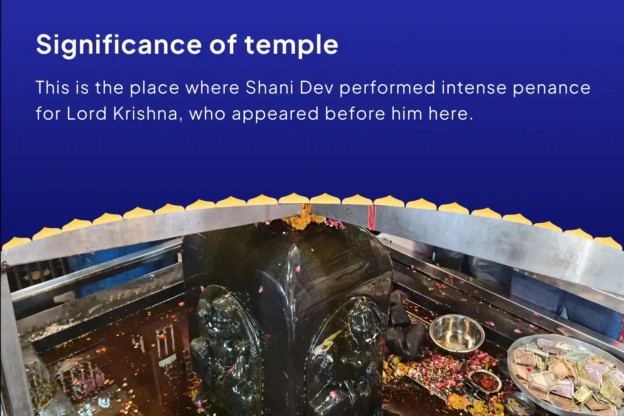 Turn Setbacks into Triumphs this Sawan with Shani’s Blessings Shani Shanti Mahapuja and Yagya for Overcoming Challenges and Adversities in Life