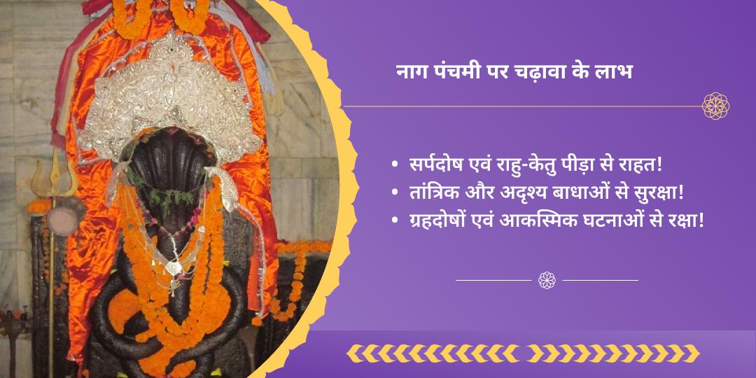 नाग पंचमी सर्प दोष शांति नाग वासुकी चढ़ावा