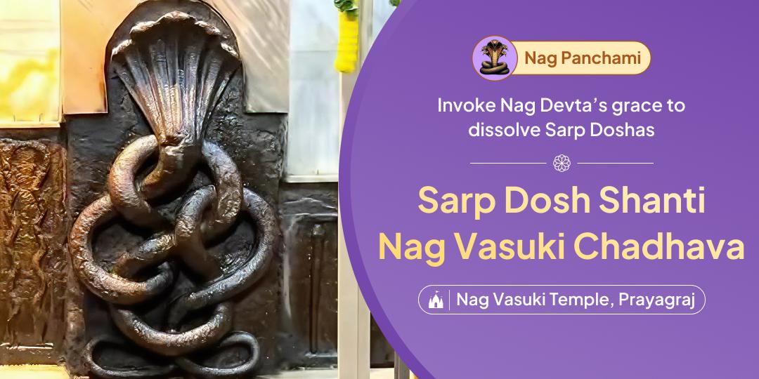 Offer sacred Chadhava before the hooded idol of Nag Devta and gain relief from Sarp Doshas!