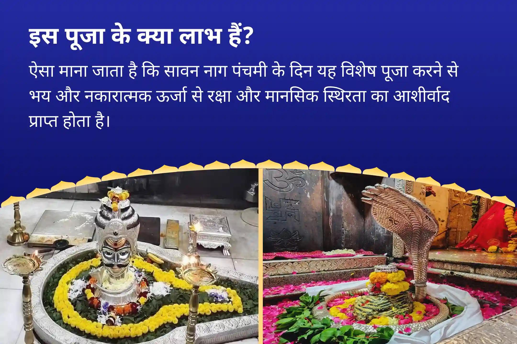बुरी नज़र से राहत एवं धन, स्वास्थ्य और करियर के लिए सावन नाग पंचमी  दोष निवारण- 2 मंदिर विशेष ओंकारेश्वर रुद्राभिषेक एवं नाग वासुकी राहु-केतु सर्प शांति अनुष्ठान