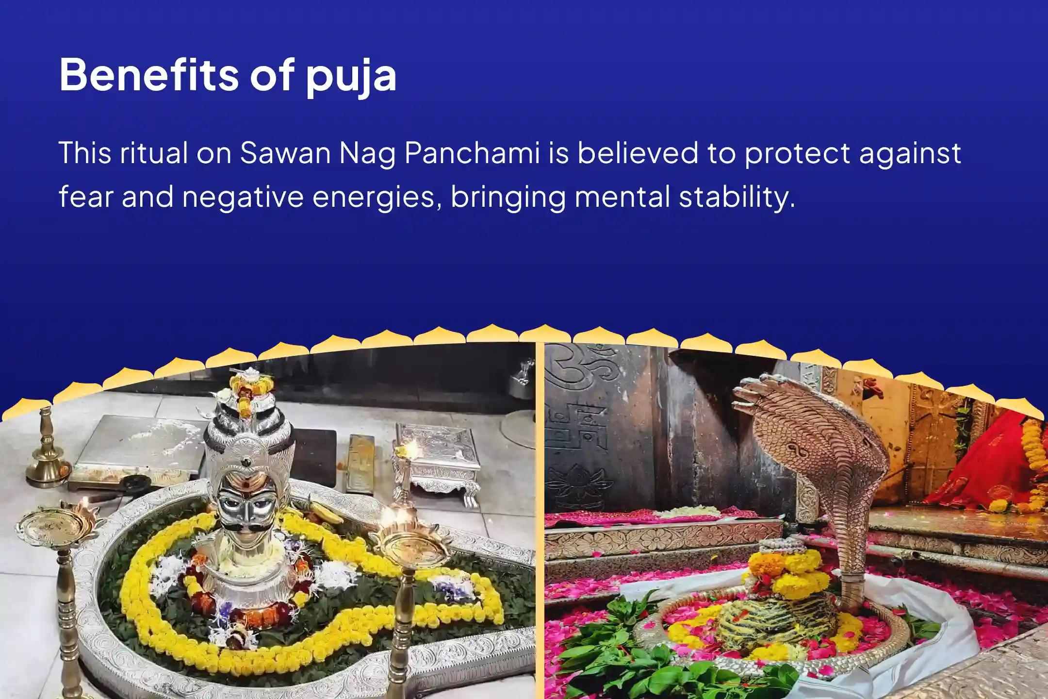Sawan Nag Panchami Dosha Nivaran – Special at Two Temples Omkareshwar Rudrabhishek & Naag Vasuki Rahu-Ketu Sarpa Shanti anushthan for protection from evil eye, and blessings of wealth, health, and career