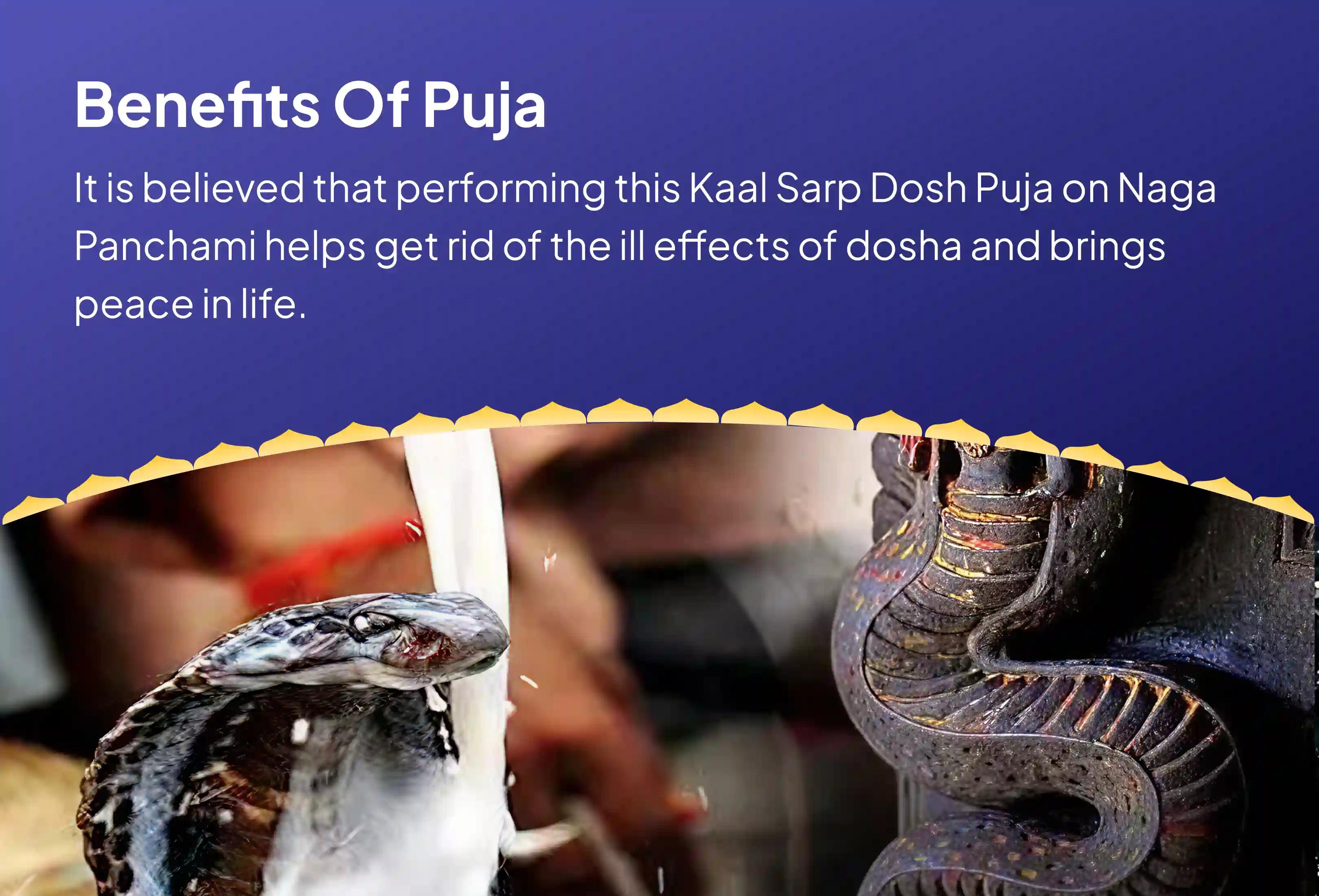 Naag Panchami Kaal Sarp Dosh Nivaran Special Kaal Sarp Dosh Shanti Puja in Ujjain to get rid of Kaal Sarp Dosha and lead a peaceful life