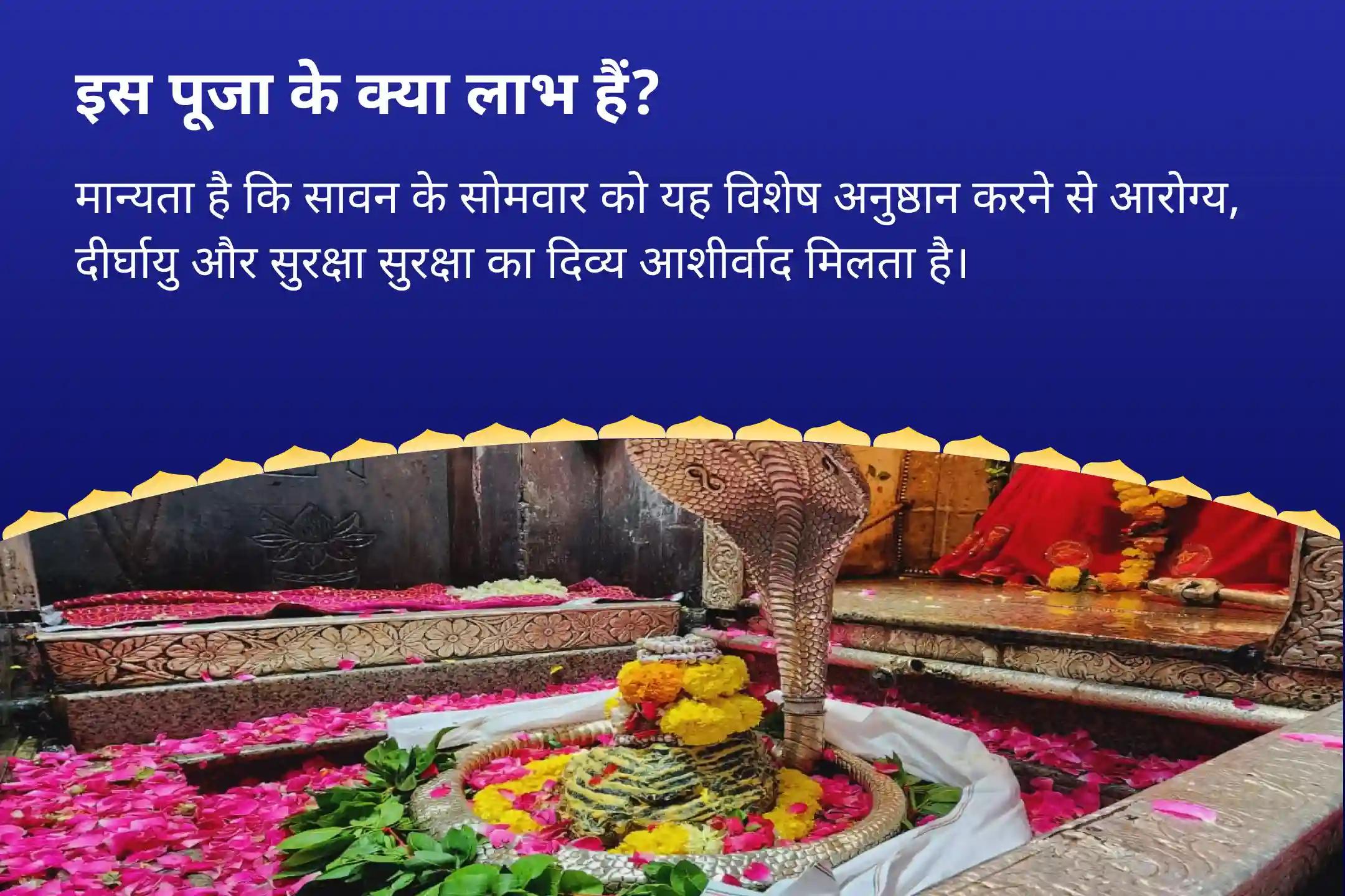 उपचार, दीर्घायु और सुरक्षा का आशीर्वाद पाने के लिए सावन सोमवार ब्रह्म मुहूर्त रुद्राभिषेक विशेष ओंकारेश्वर में 21 ब्राह्मण ब्रह्म मुहूर्त रुद्राभिषेक