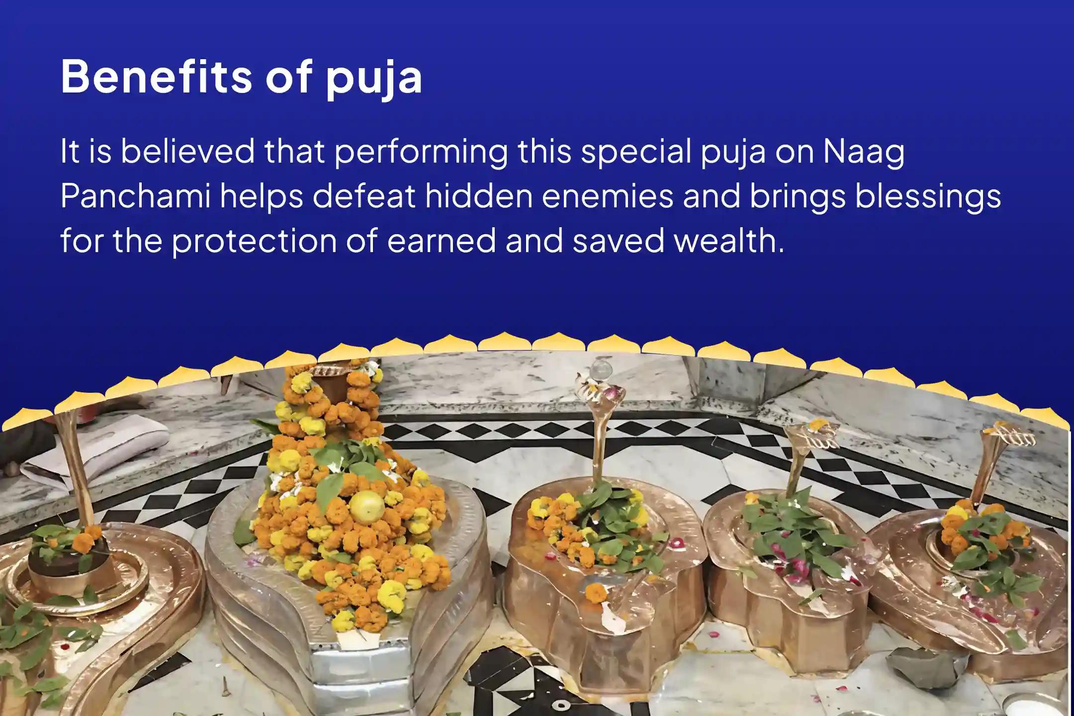 Nag Panchami Special: Shatru Shanti MahaHavan Wealth Protection and Enemy Pacification MahaHavan To protect wealth and pacify the influence of hidden enemies
