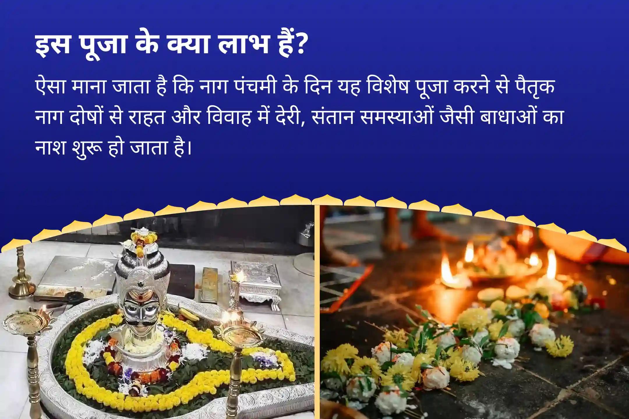 पैतृक सर्प कर्म और वंश-परंपरा में बाधाओं से पीड़ित लोगों के लिए विवाह में देरी, संतान समस्याओं और पैतृक बाधाओं के लिए नाग पंचमी विशेष तक्षकेश्वर-गोकर्ण नाग दोष निवारण यज्ञ-पंचमी प्रार्थना विशेष