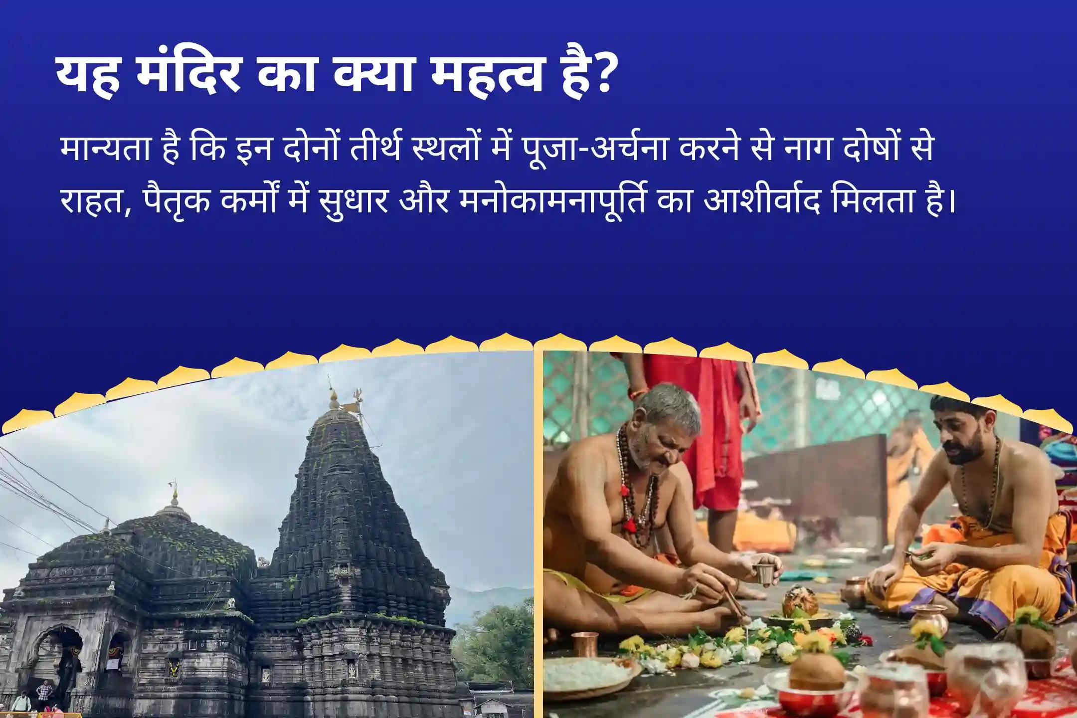 पैतृक सर्प कर्म और वंश-परंपरा में बाधाओं से पीड़ित लोगों के लिए विवाह में देरी, संतान समस्याओं और पैतृक बाधाओं के लिए नाग पंचमी विशेष तक्षकेश्वर-गोकर्ण नाग दोष निवारण यज्ञ-पंचमी प्रार्थना विशेष