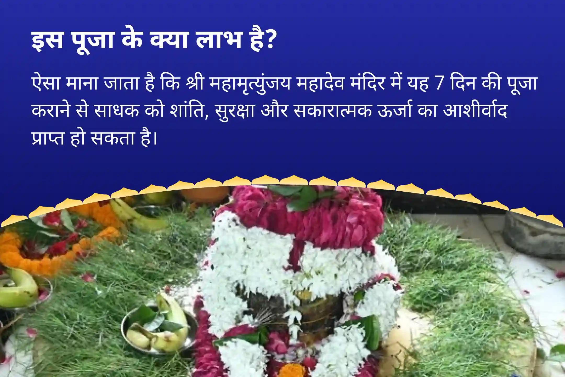 शांति, सुरक्षा और सकारात्मकता के लिए आशीर्वाद प्राप्त करें सावन विशेष - आखिरी 7 दिवसीय पूजा सावन 7 दिन दैनिक रुद्राभिषेक (7 दिवसीय शिव अर्चना)