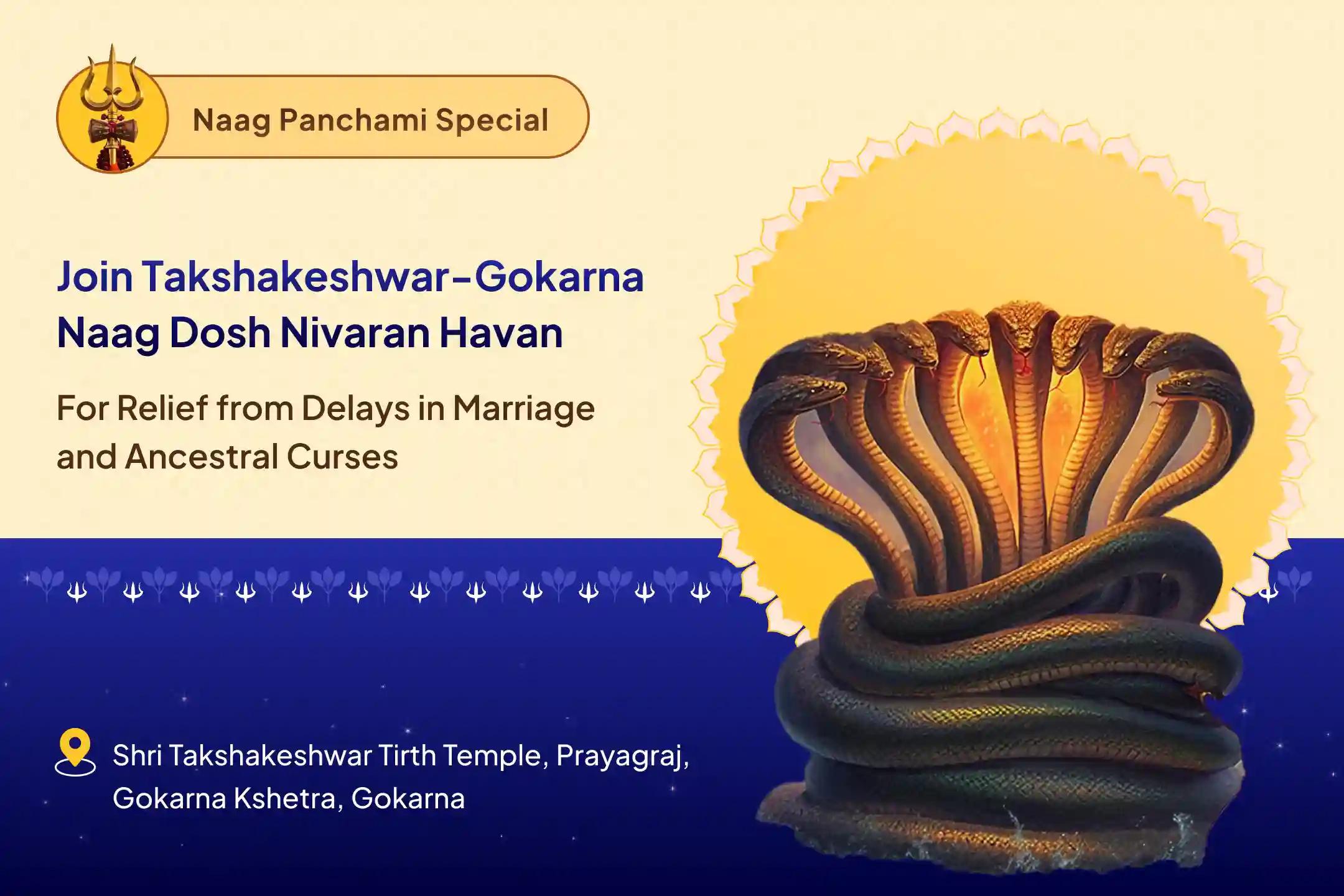 Naag Panchami Special for Marriage Delays, Child Issues and Ancestral Troubles Takshakeshwar-Gokarna Naag Dosh Nivaran Yagya – Panchami Prarthana Special for those suffering due to ancestral snake karmas and family line disruptions