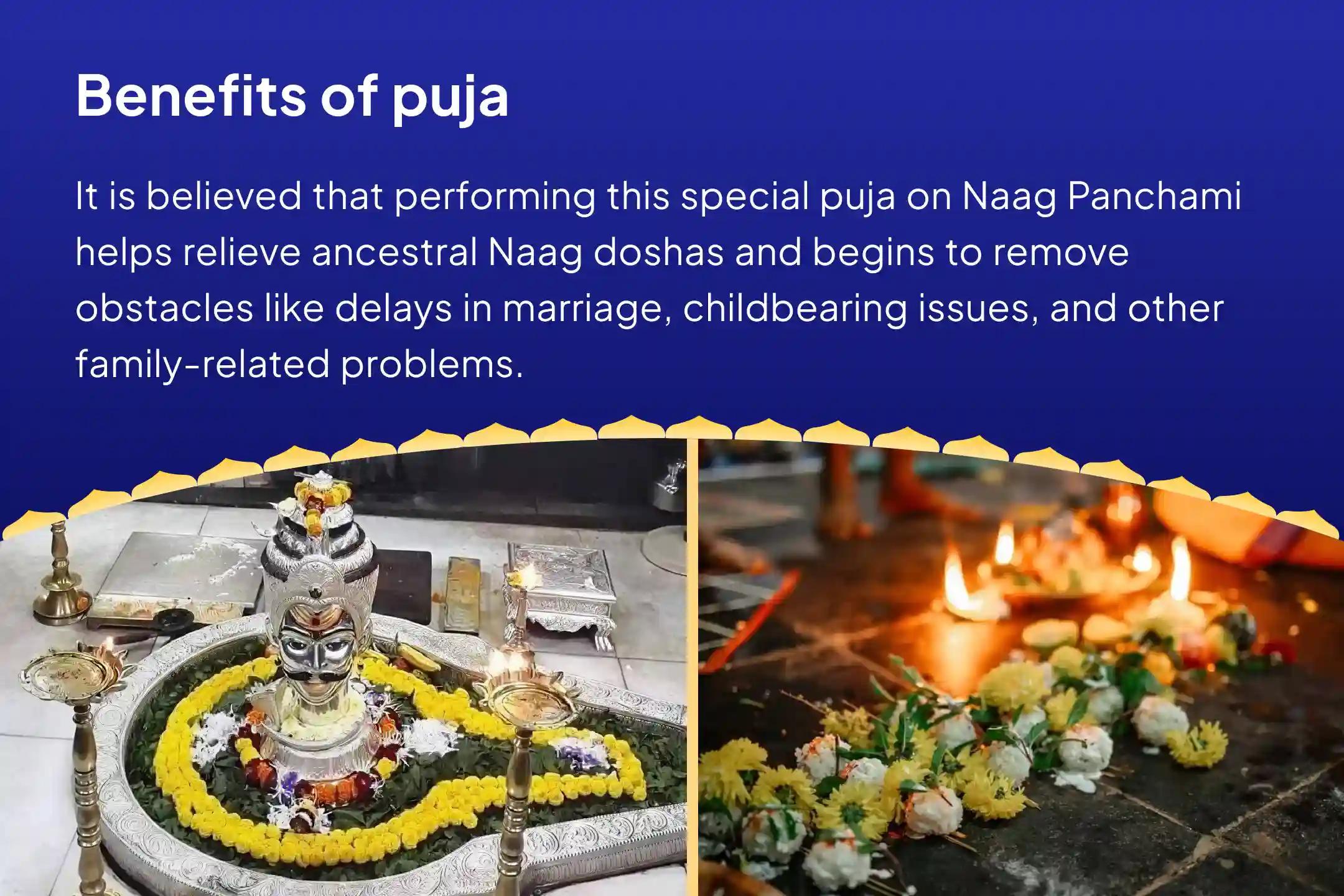 Naag Panchami Special for Marriage Delays, Child Issues and Ancestral Troubles Takshakeshwar-Gokarna Naag Dosh Nivaran Yagya – Panchami Prarthana Special for those suffering due to ancestral snake karmas and family line disruptions