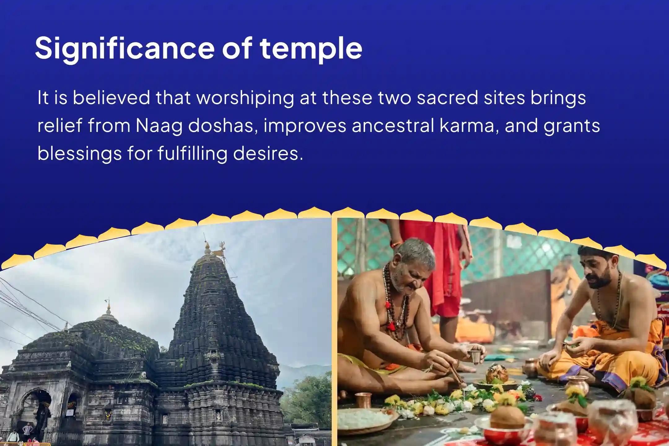 Naag Panchami Special for Marriage Delays, Child Issues and Ancestral Troubles Takshakeshwar-Gokarna Naag Dosh Nivaran Yagya – Panchami Prarthana Special for those suffering due to ancestral snake karmas and family line disruptions