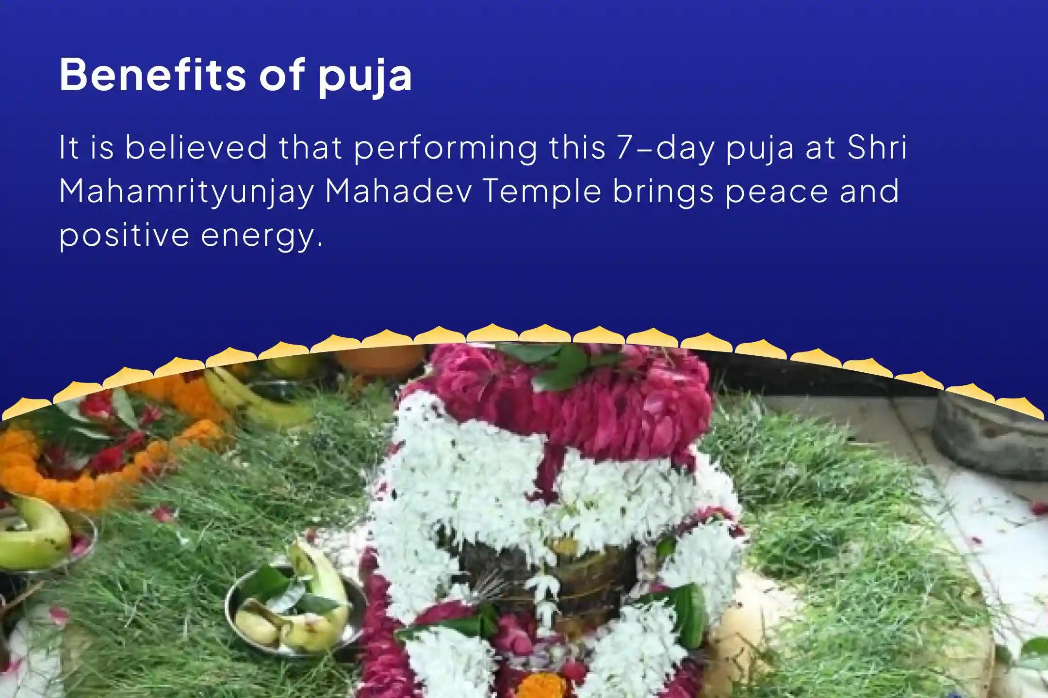 Sawan Special – Final 7-Day Puja Sawan 7-Day Daily Rudrabhishek (7-Day Shiva Archana) Receive blessings for peace, protection, and positivity