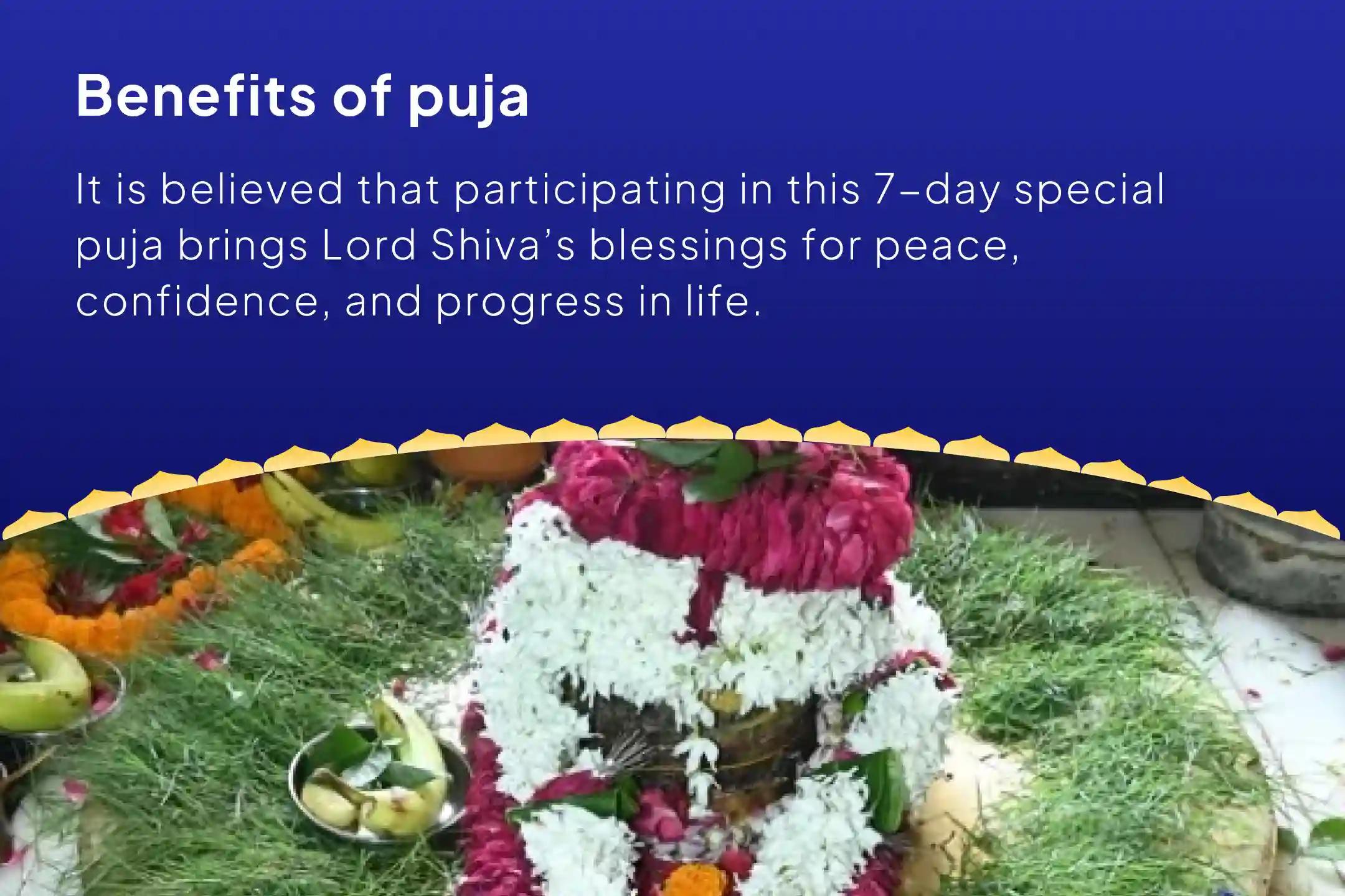 Sawan Special - Last 7 Days Puja 7 Days Daily - 1.25 Lakh Shiva Panchakshari Mantra Jaap (Om Namah Shivay) and Havan Invoke Shiva’s Blessings for Calm, Confidence, and Growth in All Aspects of Life