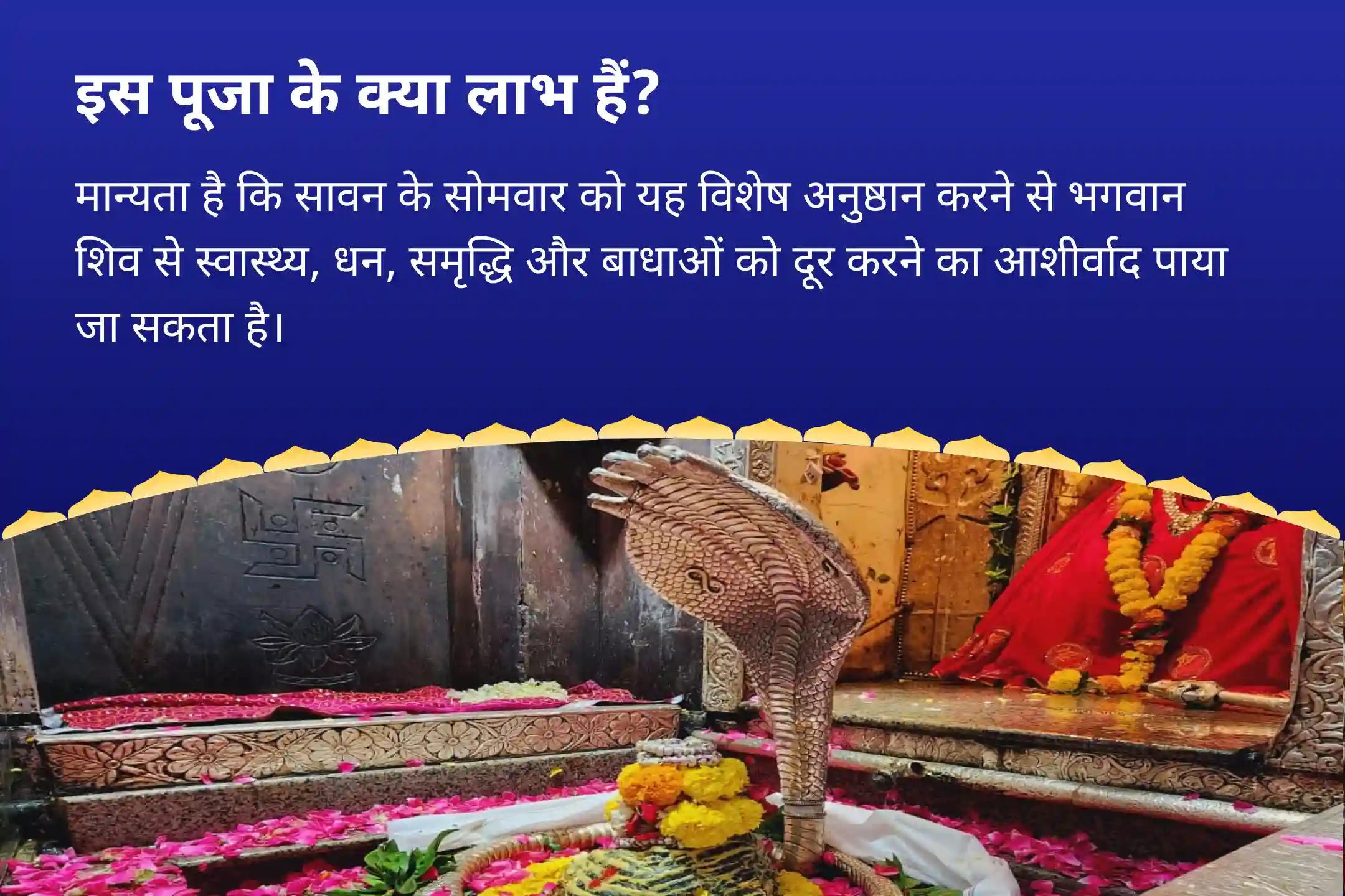 स्वास्थ्य, धन, समृद्धि और बाधाओं से राहत के लिए सावन आखिरी सोमवार 21 द्रव्य ज्योतिर्लिंग महारुद्राभिषेक 21 द्रव्य महा रुद्राभिषेक और 1 लाख 8 शिव पंचाक्षरी मंत्र जाप