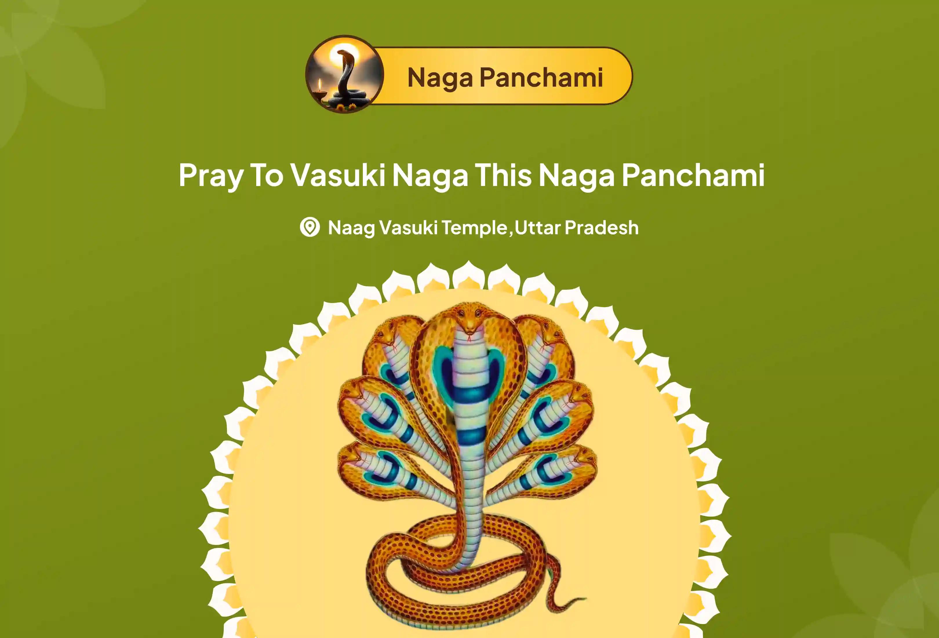 Pray to Vasuki Naga this Naga Panchami Naga Dosh Nivaran Puja at the Naga Vasuki temple in India for those having marriage delays, child issues and ancestral troubles