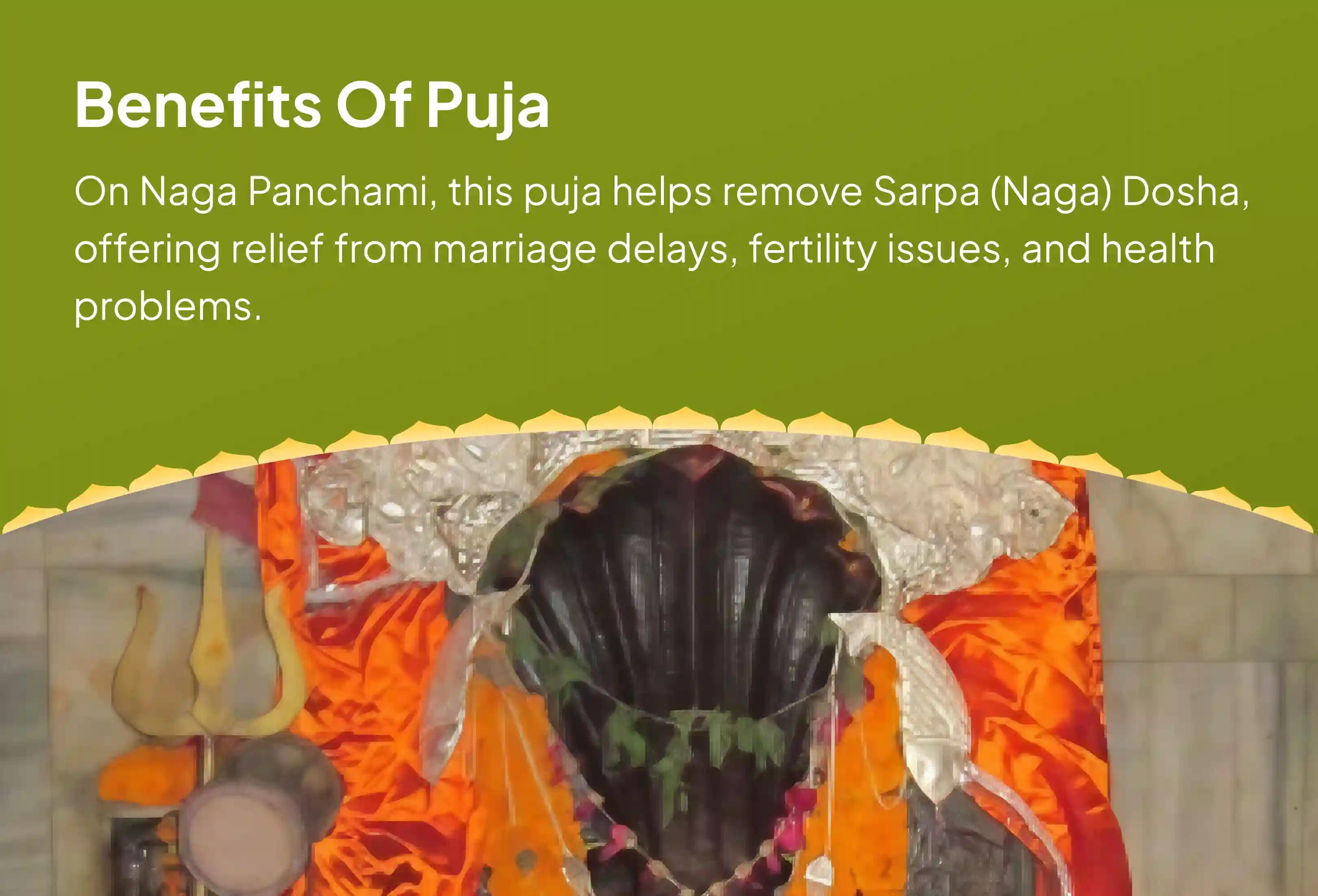 Pray to Vasuki Naga this Naga Panchami Naga Dosh Nivaran Puja at the Naga Vasuki temple in India for those having marriage delays, child issues and ancestral troubles