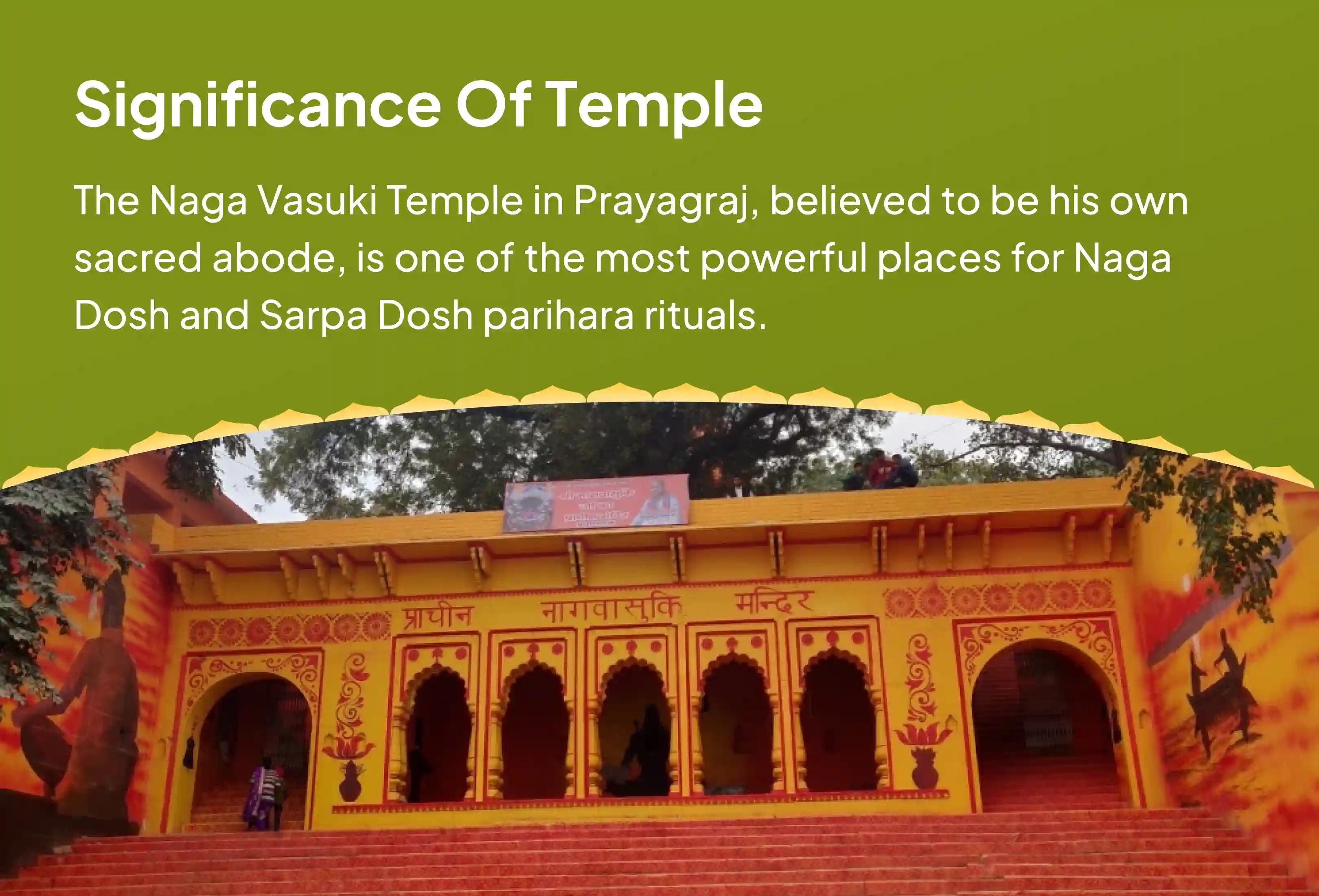 Pray to Vasuki Naga this Naga Panchami Naga Dosh Nivaran Puja at the Naga Vasuki temple in India for those having marriage delays, child issues and ancestral troubles