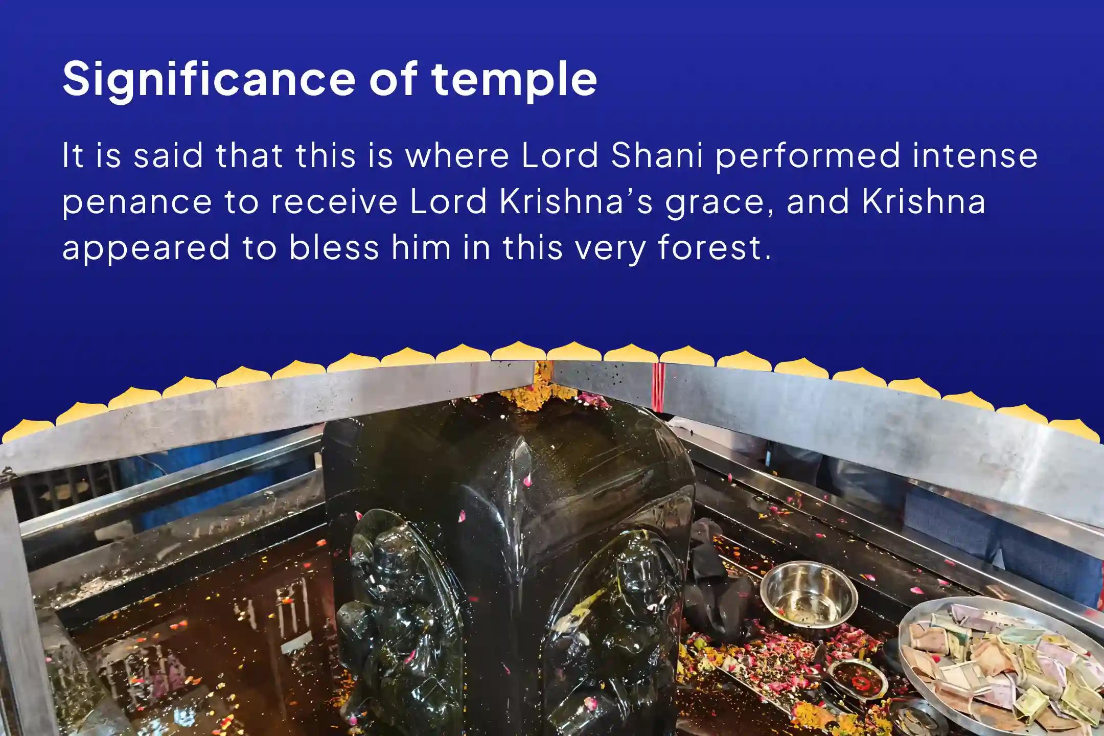 Sawan Saturday Vishakha Nakshatra Special – Peepal Tree Shani Shila Installation Shani Kavach Stotra Path, Krishna Govind Mantra Jaap, and Shani Shanti Yagya a highly effective remedy for relief from Sade Sati and Dhaiyya