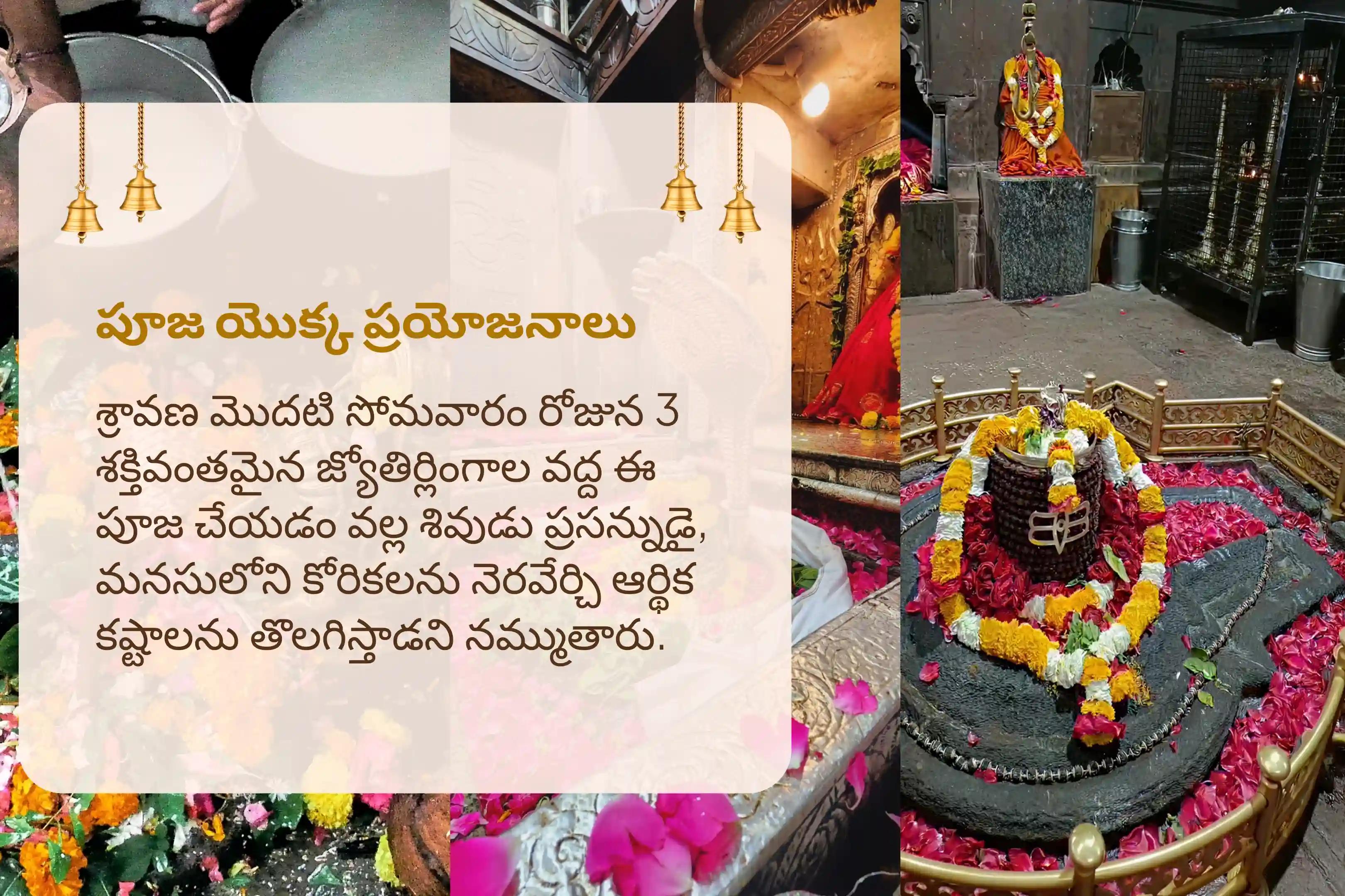 శ్రావణ సోమవారం 3 జ్యోతిర్లింగ ప్రత్యేకం  3 జ్యోతిర్లింగాలలో శివ రుద్రాభిషేకం మరియు రుద్ర హోమం సంపూర్ణ కోరికల నెరవేర్పుకు మరియు ఆర్థిక కష్టాల నివారణకు