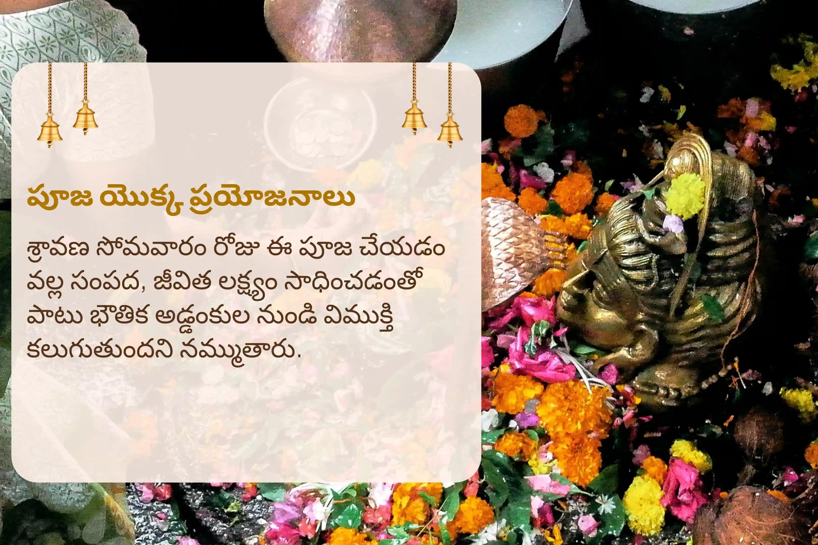 సంపద, జీవిత లక్ష్యం, మరియు భౌతిక అడ్డంకుల నుండి విముక్తికై ఆశీస్సుల కోసం శ్రావణ సోమవారం జ్యోతిర్లింగ ప్రత్యేక జ్యోతిర్లింగ త్రయంబకేశ్వర రుద్రాభిషేక మహాపూజలో పాల్గొనండి.