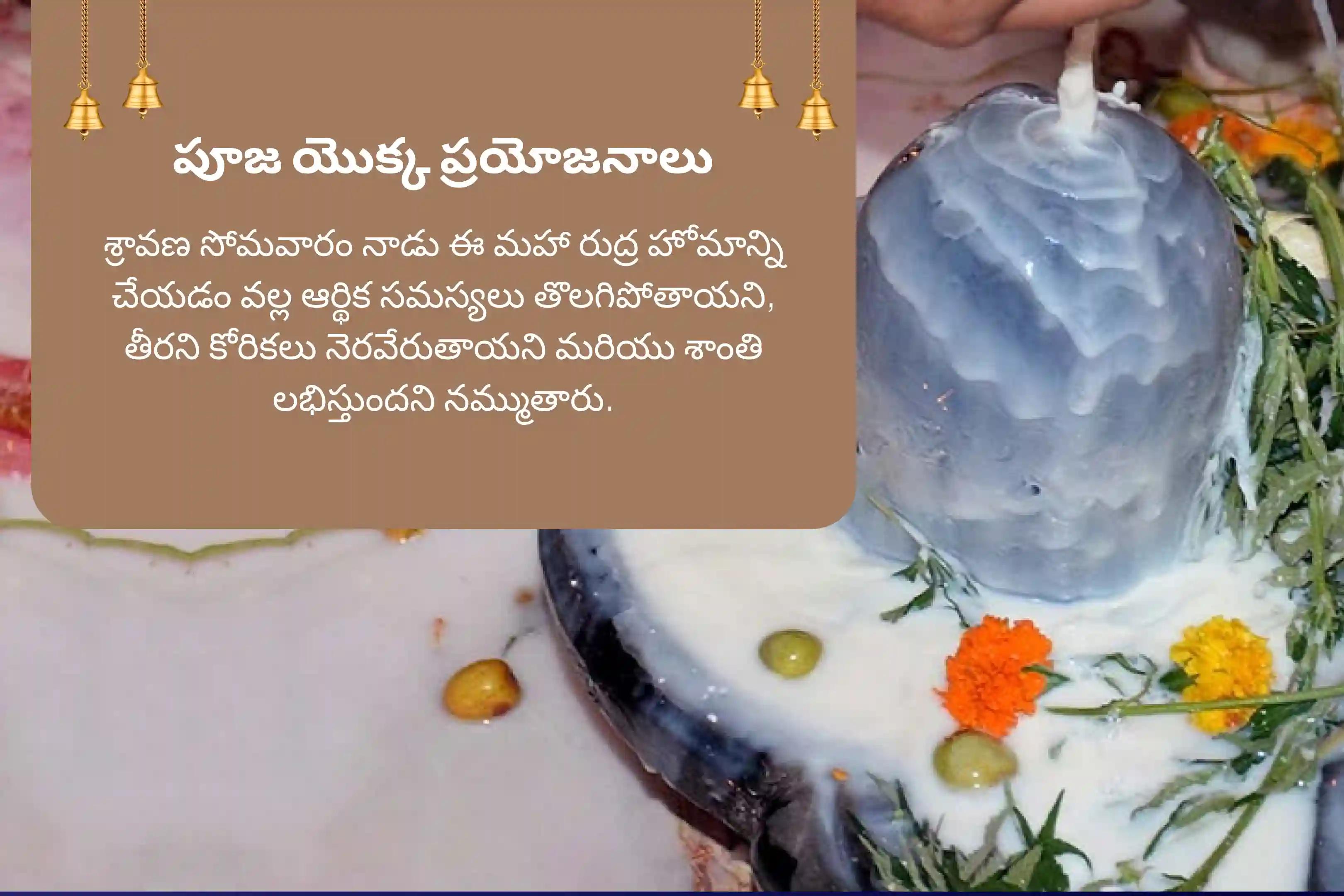 శ్రావణ సోమవారం గోకర్ణ ప్రత్యేకం గోకర్ణ ఆత్మ లింగం క్షేత్ర 5 హవన కుండాల 21 బ్రాహ్మణుల మహా రుద్ర హోమం జీవితంలోని కోరికలను నెరవేర్చుకోడానికి మరియు ఆర్థిక ఉపశమనం పొందడానికి