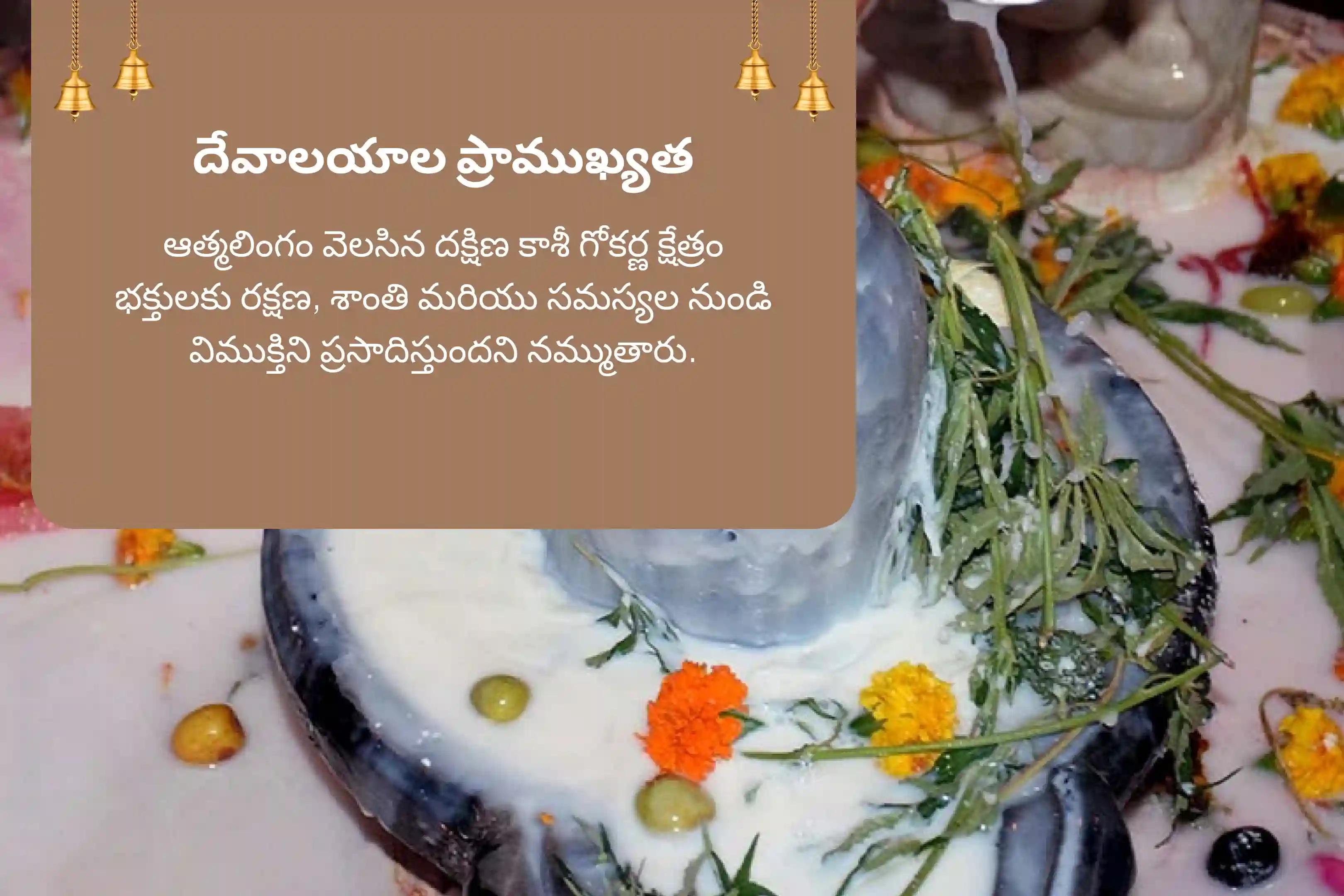 శ్రావణ సోమవారం గోకర్ణ ప్రత్యేకం గోకర్ణ ఆత్మ లింగం క్షేత్ర 5 హవన కుండాల 21 బ్రాహ్మణుల మహా రుద్ర హోమం జీవితంలోని కోరికలను నెరవేర్చుకోడానికి మరియు ఆర్థిక ఉపశమనం పొందడానికి