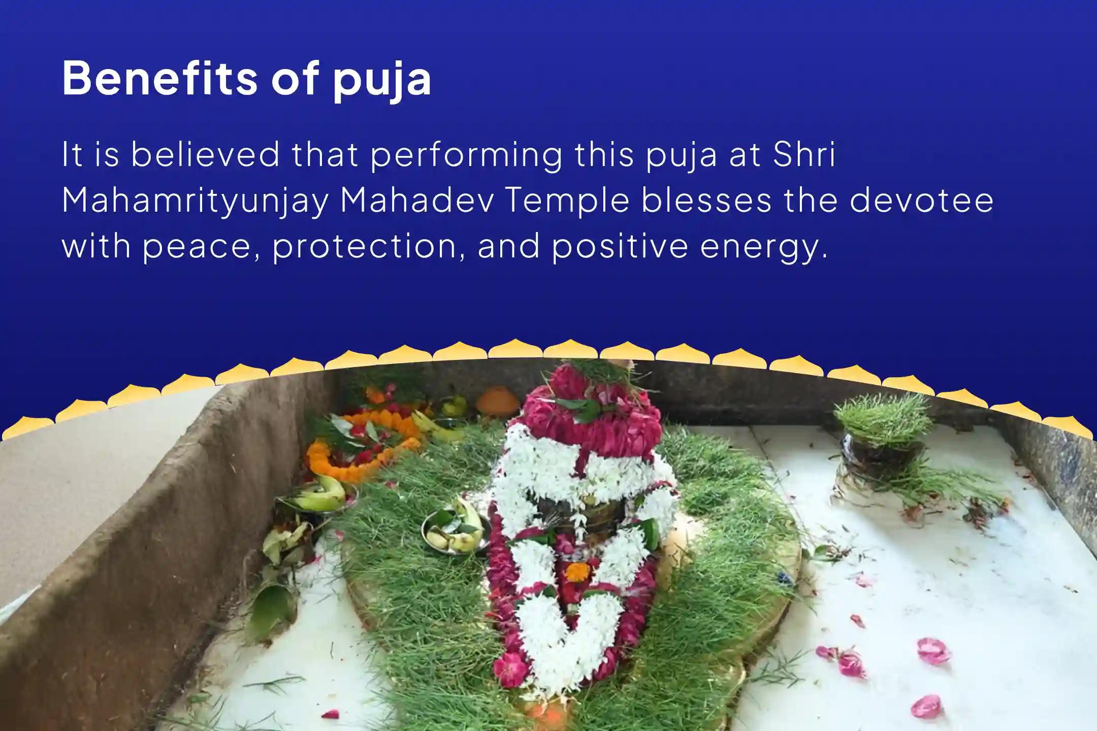 Sawan Special - 3 Days Puja Sawan Akhand Rudrabhishek Seva (3 Days Shiva Archana) to Receive Blessings for Peace, Protection, and Positivity