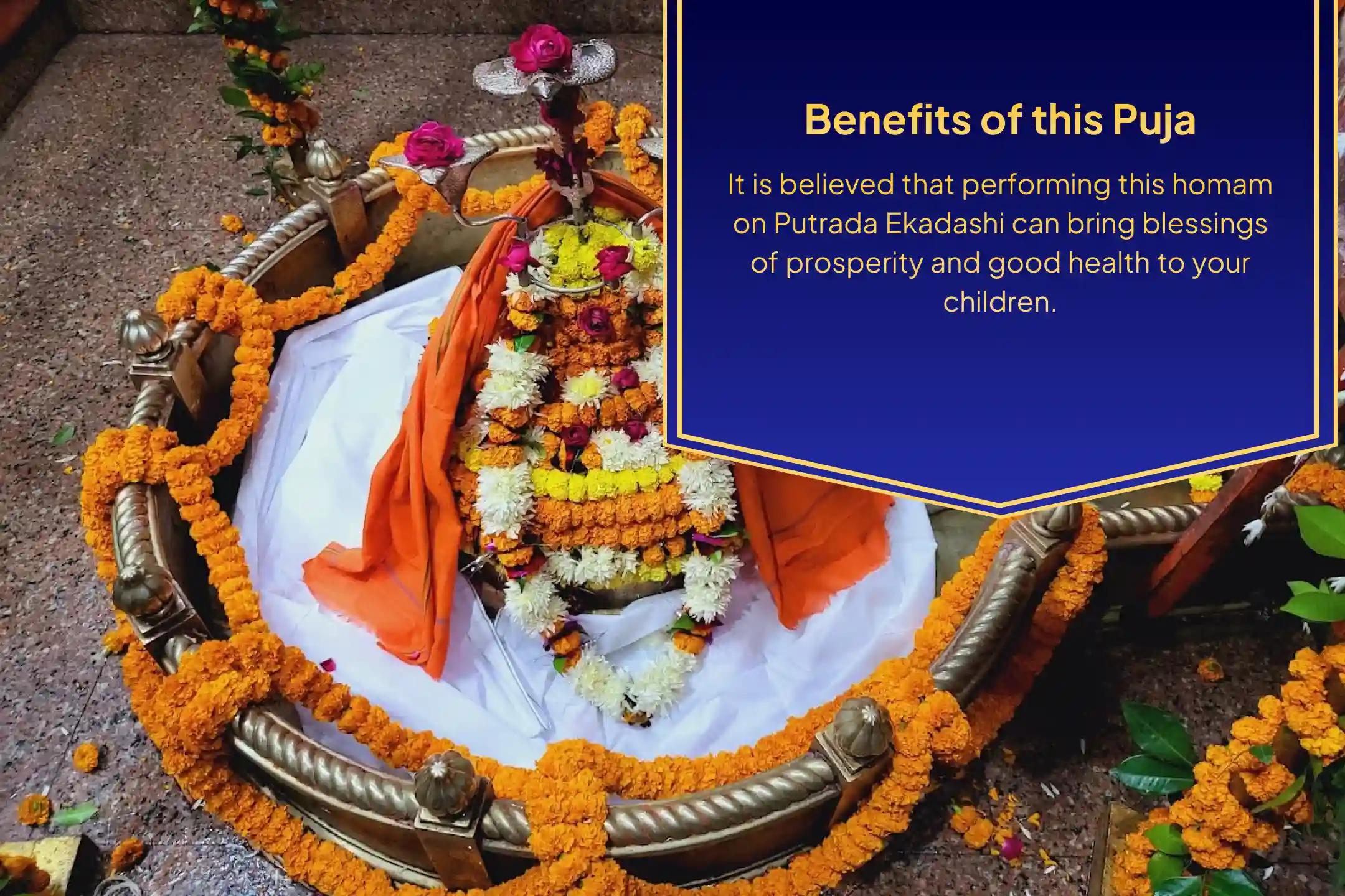 Putrada Ekadashi Special Putra Kameshti Homam For Blessing for Prosperity and Well-Being of your Children