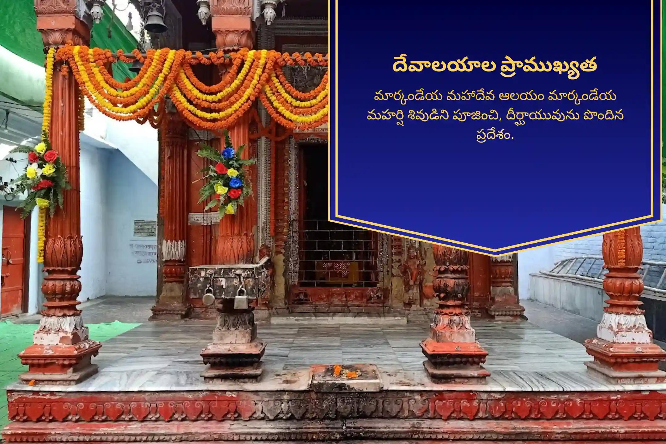 పుత్రదా ఏకాదశి ప్రత్యేకం పుత్ర కామేష్టి హోమం మీ పిల్లల శ్రేయస్సు మరియు సమృద్ధి కోసం ఆశీస్సులు