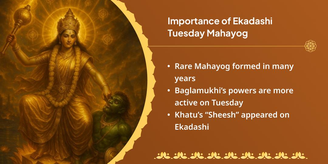 Ekadashi Tuesday Mahayog Baglamukhi-Khatu Chadhava