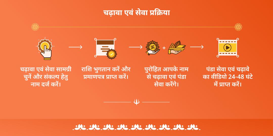 सावन पूर्णिमा संगम पितृऋण सेवा एवं चढ़ावा