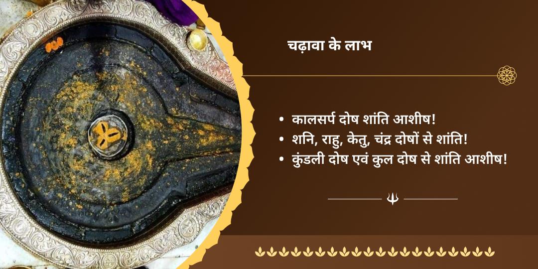 सावन पूर्णिमा सर्वदोष नाशक त्र्यंबकेश्वर चढ़ावा