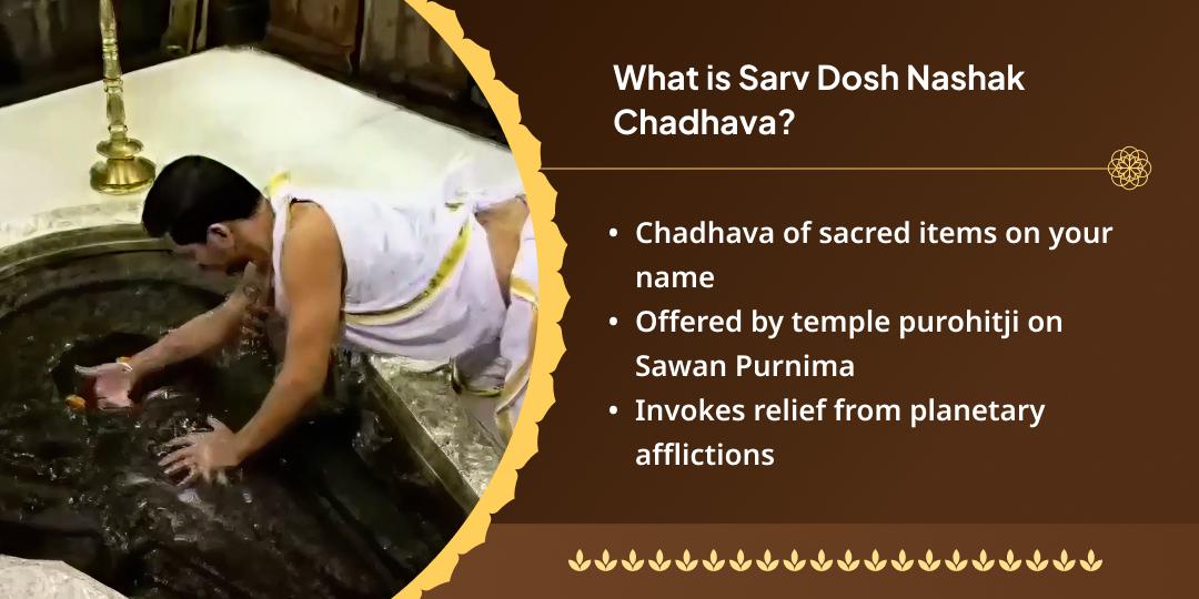 Sawan Purnima Sarv Dosh Nashak Trimbakeshwar Chadhava