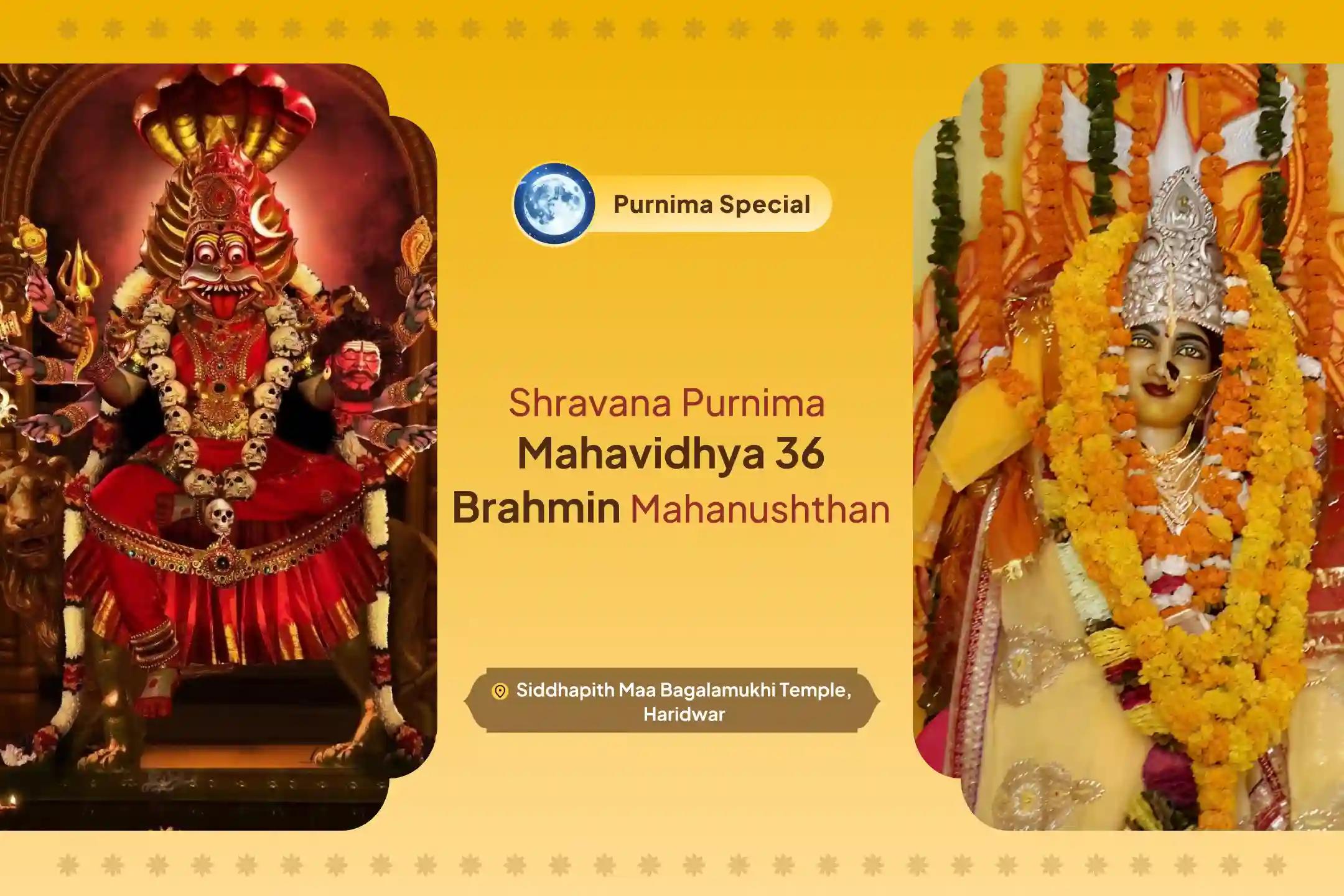 Shravana Purnima Mahavidhya 36 Brahmin Mahanushthan 1,25,000 Bagalamukhi Mool Mantra Jaap, Bagalamukhi-Pratyangira Kavach Path, and Homam For Devi's Protection to Repel Negative Energies and Influences