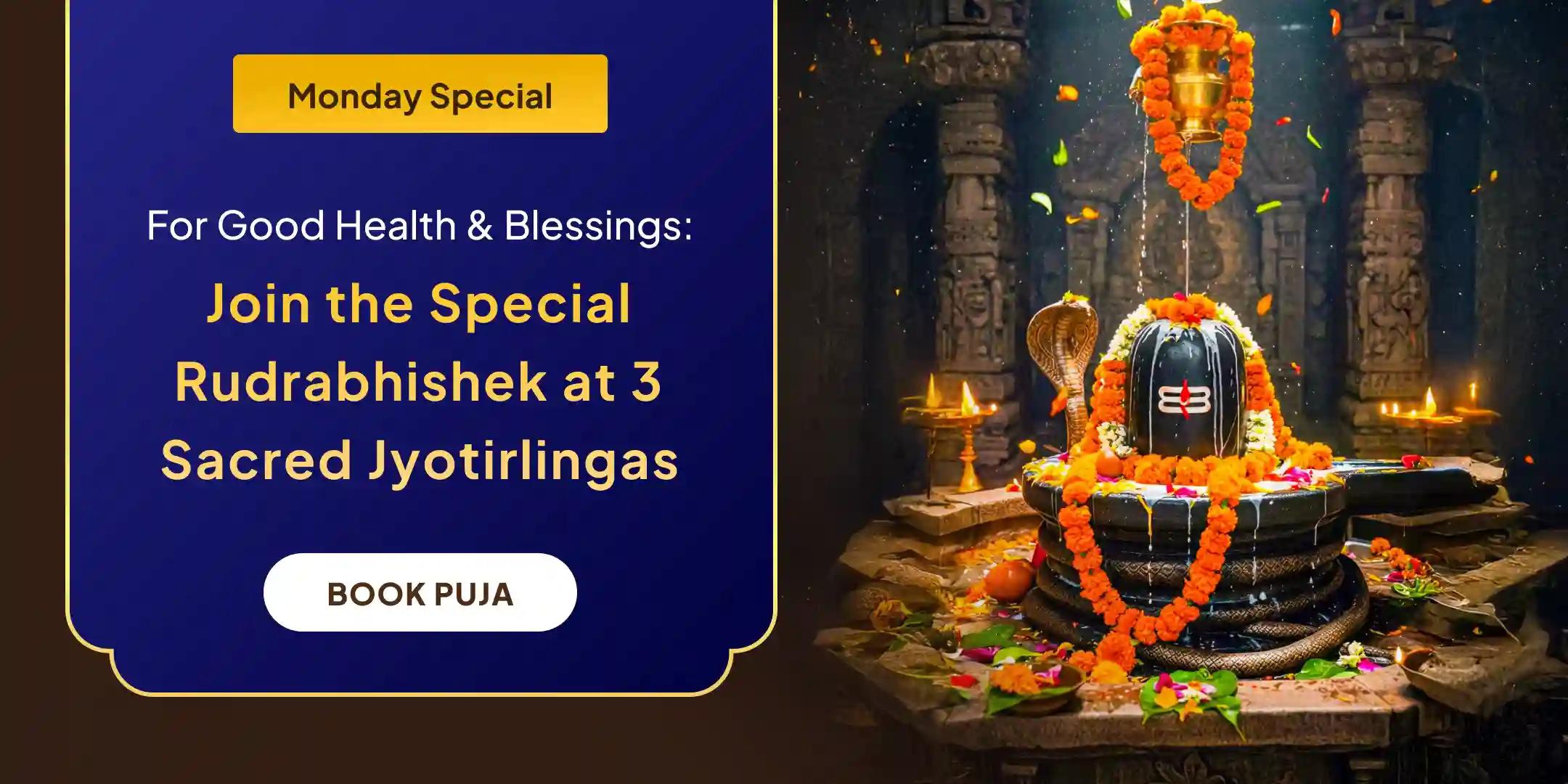 3 Jyotirlinga Combo Special 3 - Jyotirlinga - Trimbakeshwar, Omkareshwar and Ghrishneshwar Rudrabhishek and Rudra Homam Blessings for Longevity and Better Health