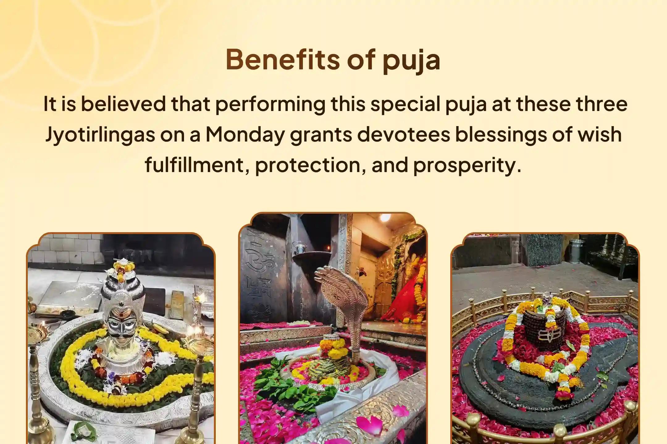 3 Jyotirlinga Combo Special 3 - Jyotirlinga - Trimbakeshwar, Omkareshwar and Ghrishneshwar Rudrabhishek and Rudra Homam Blessings for Longevity and Better Health