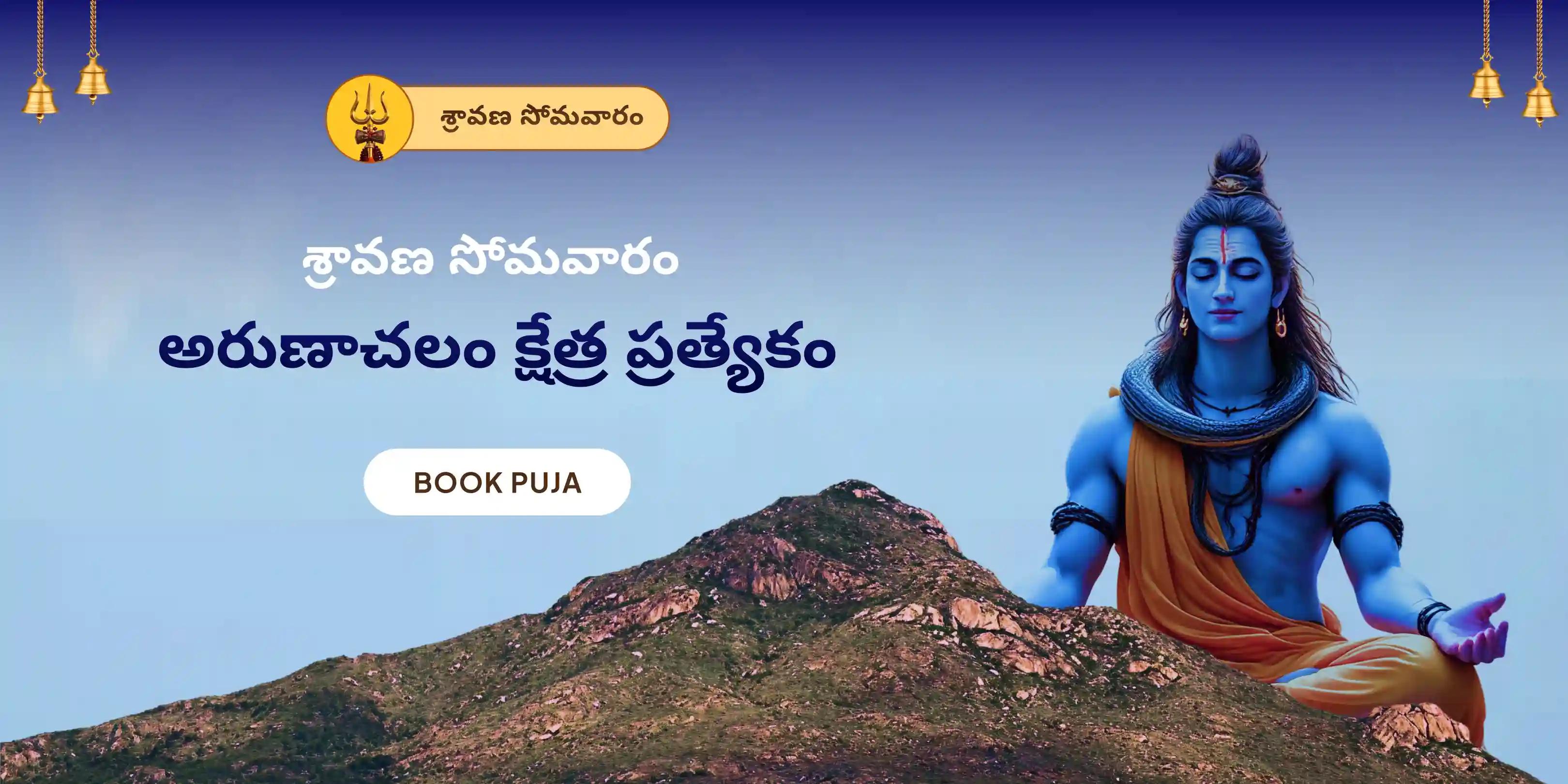 అరుణాచలం క్షేత్ర ప్రత్యేక రుద్రాభిషేకం పూజ మరియు హోమం