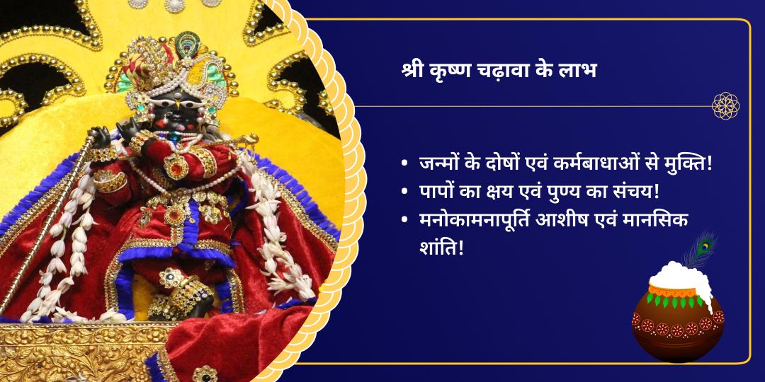 कृष्ण जन्माष्टमी श्री लाल जी राधारमण चढ़ावा