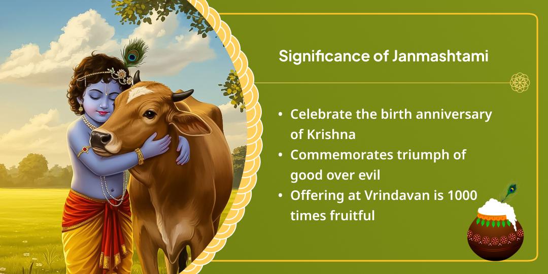 Krishna Janmashtami Vrindavan Dham Gau Seva