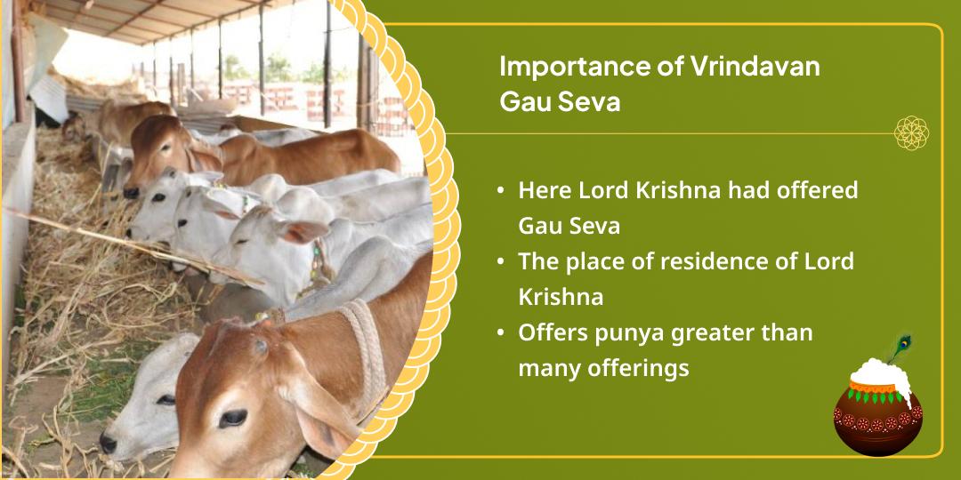 Krishna Janmashtami Vrindavan Dham Gau Seva