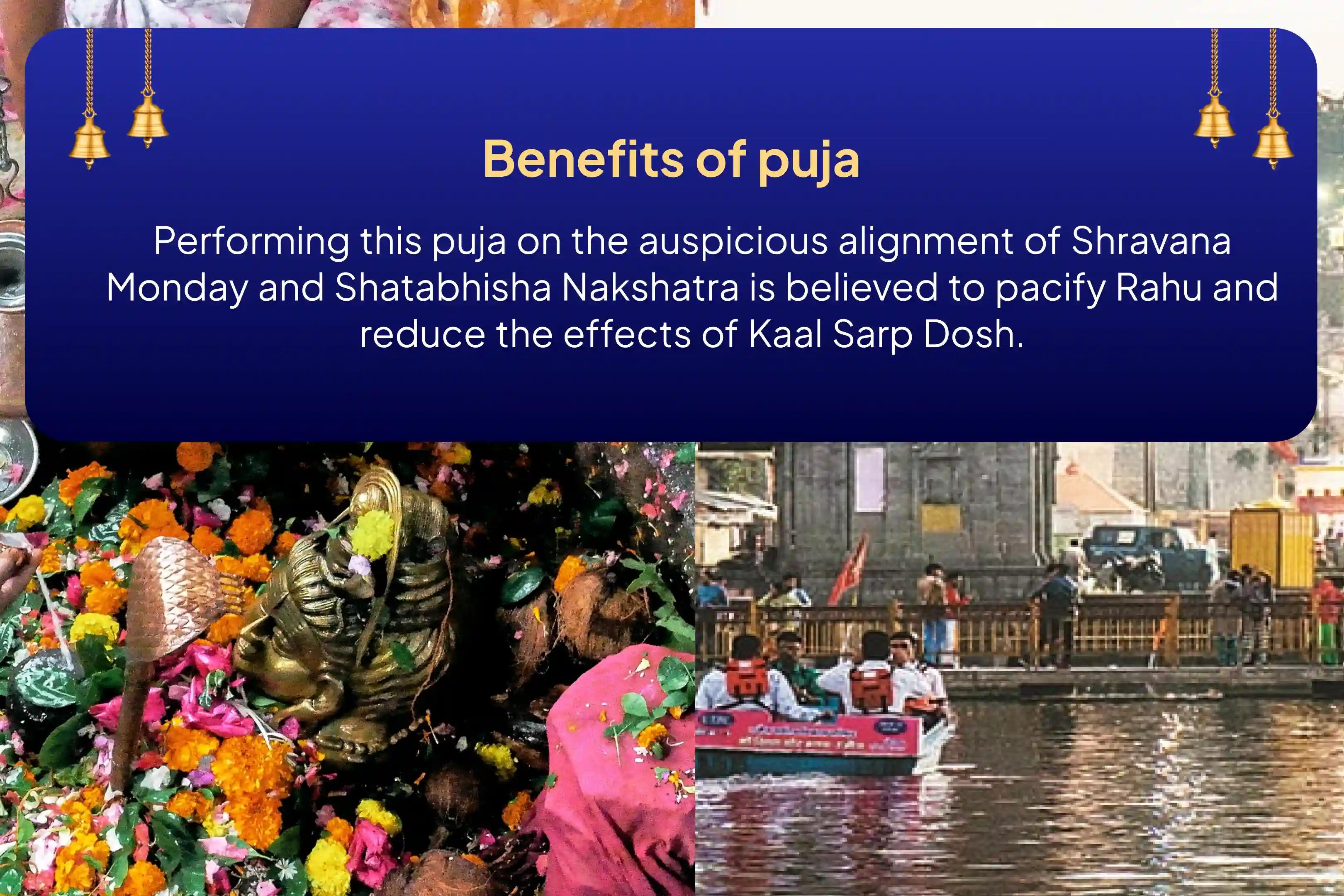 Participate in the Shravana Somvaram and Rahu Nakshatra Jyotirlinga Special Kaal Sarp Dosha Shanti Puja Ujjain and Trimbakeshwar Rudrabhishek to pacify Rahu Dosha and attain mental peace