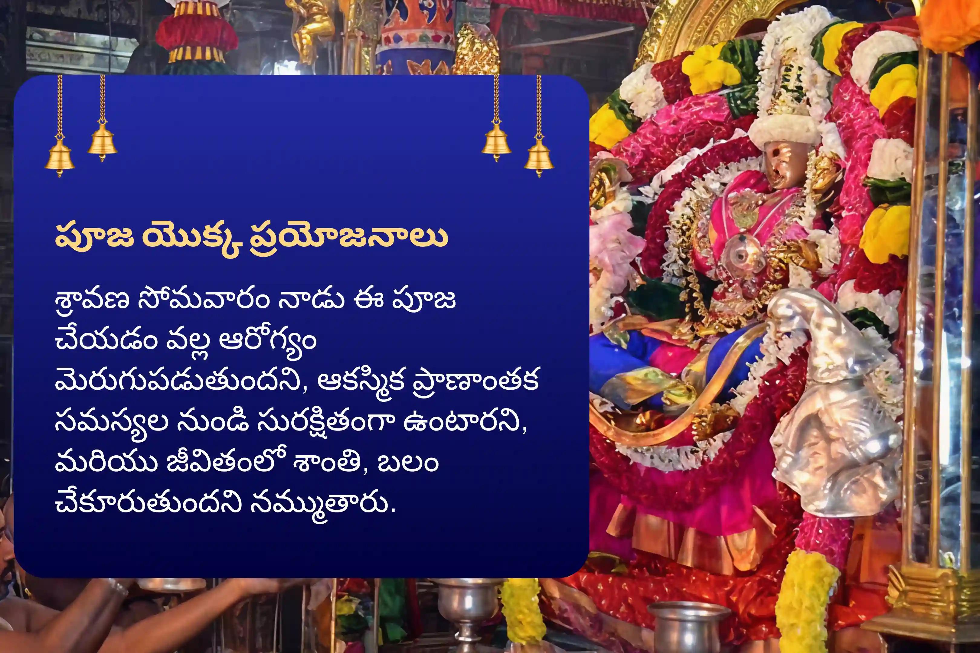 ఆరోగ్యం, రక్షణ మరియు అకాల దురదృష్టాలను నివారించడం కోసం అరుణాచలం క్షేత్ర శ్రావణ సోమవారం ప్రత్యేక 11,000 మహామృత్యుంజయ జపం మరియు హోమంలో పాల్గొనండి.